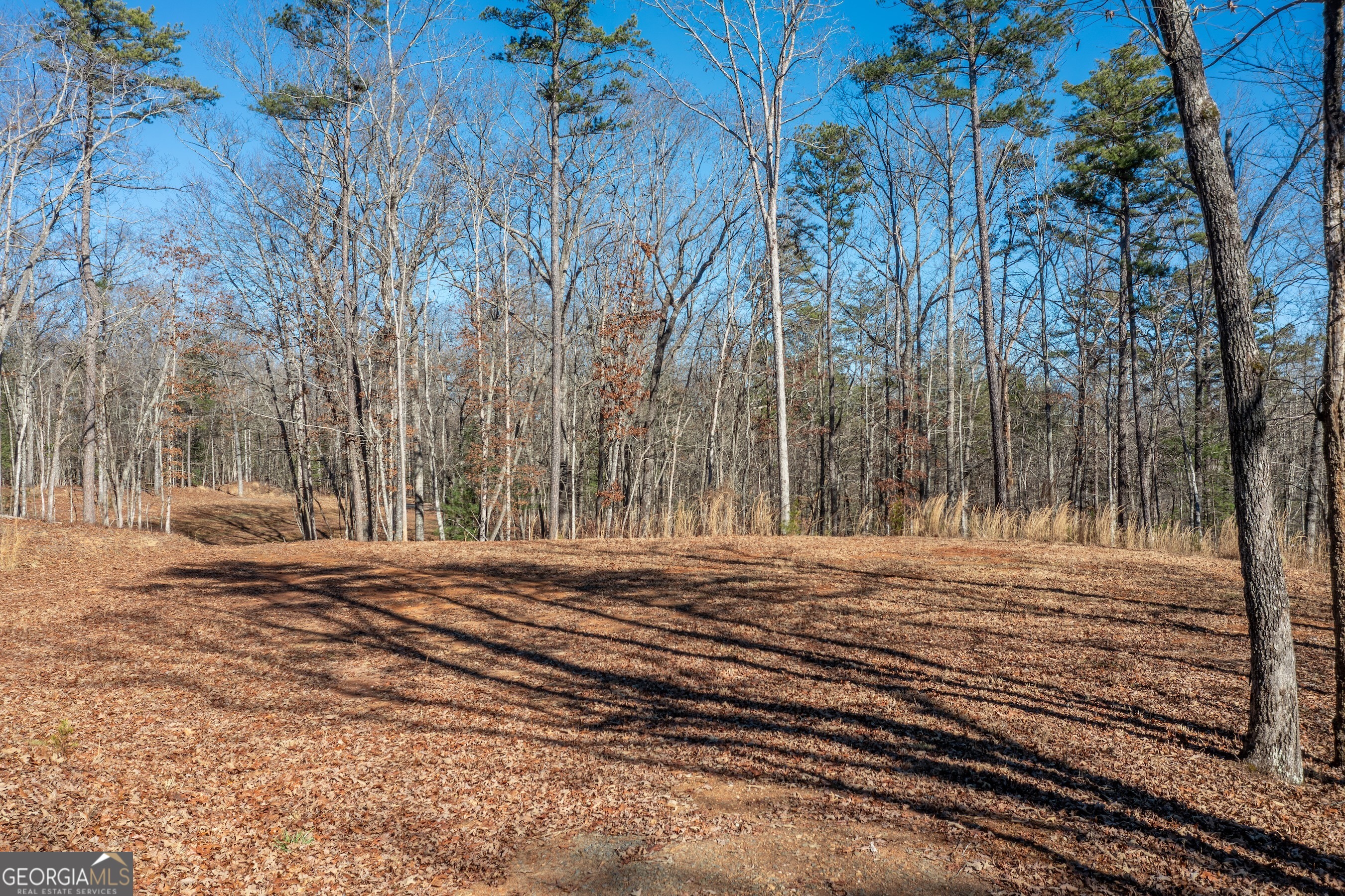4011 Murphy Highway Property Photo 63