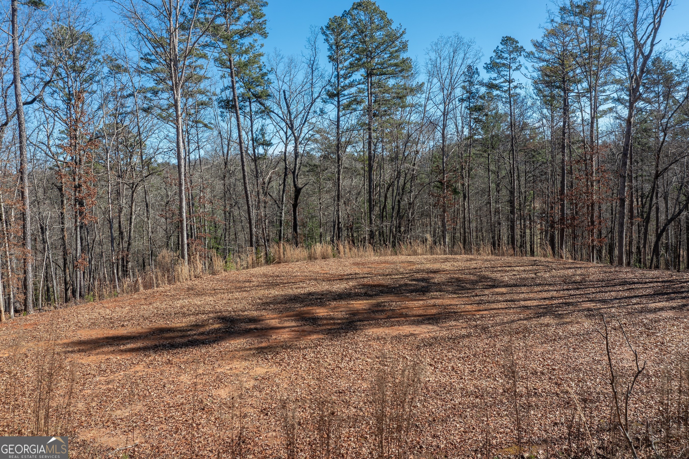 4011 Murphy Highway Property Photo 64