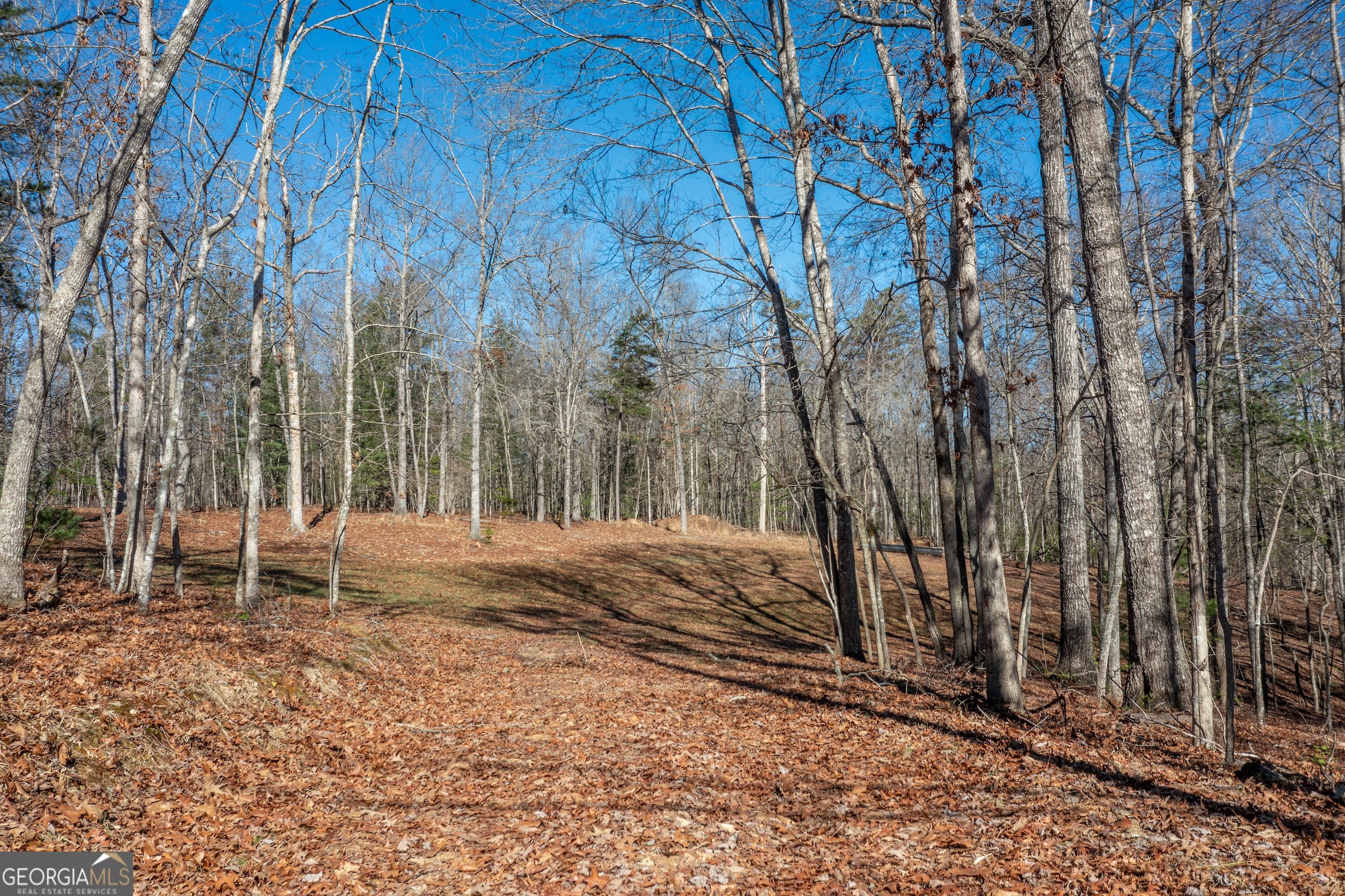 4011 Murphy Highway Property Photo 66