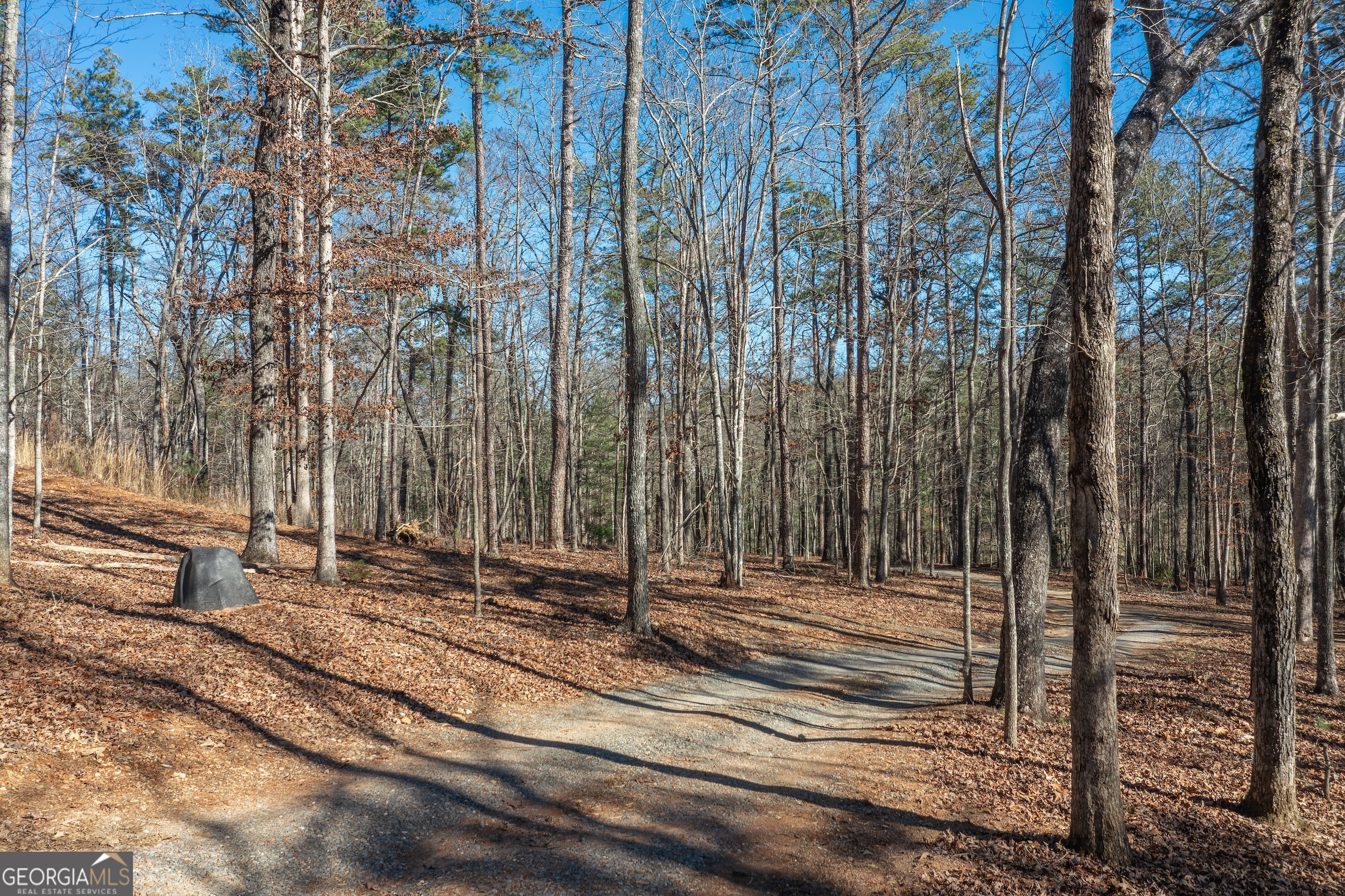 4011 Murphy Highway Property Photo 68