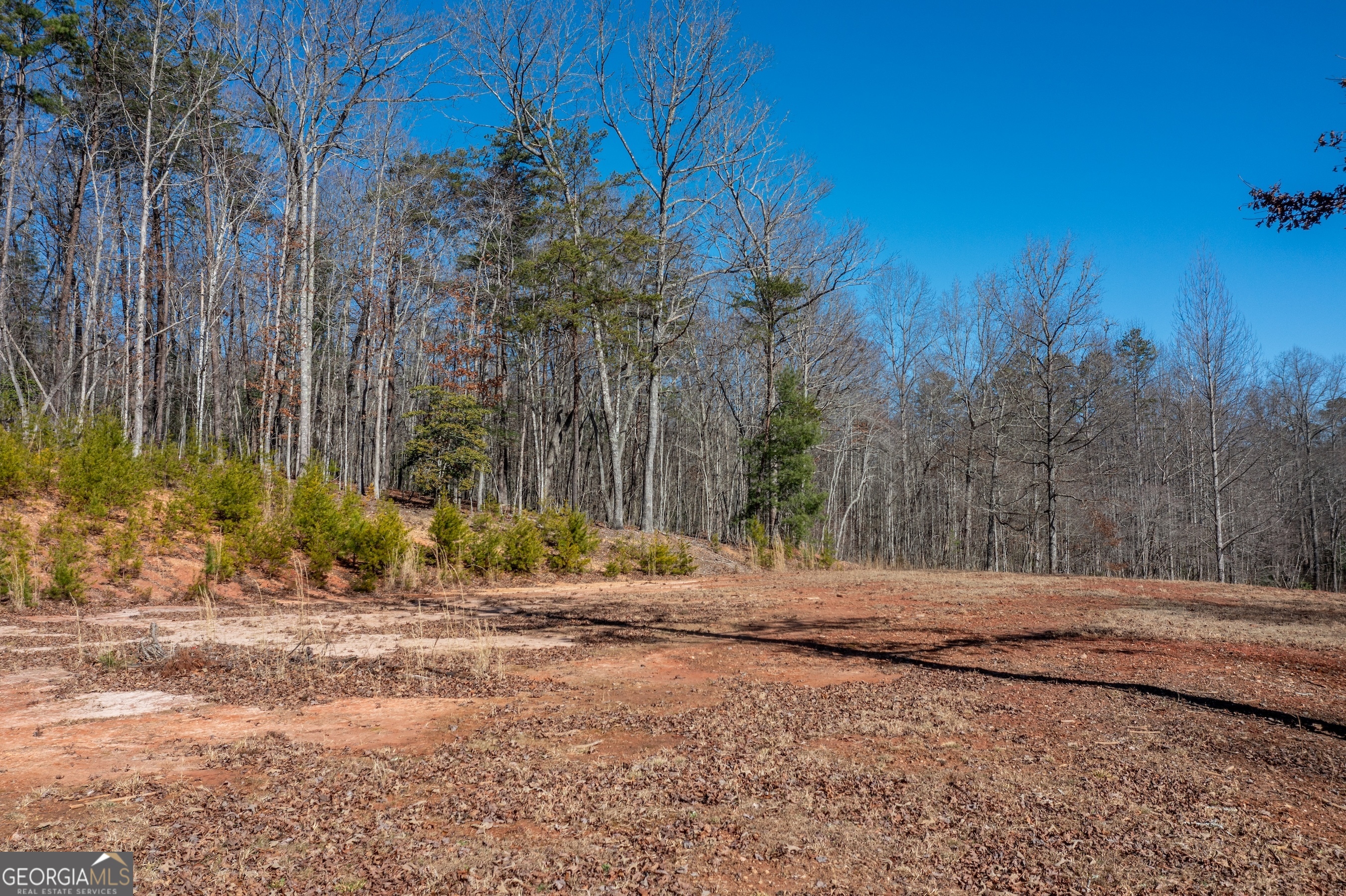 4011 Murphy Highway Property Photo 94