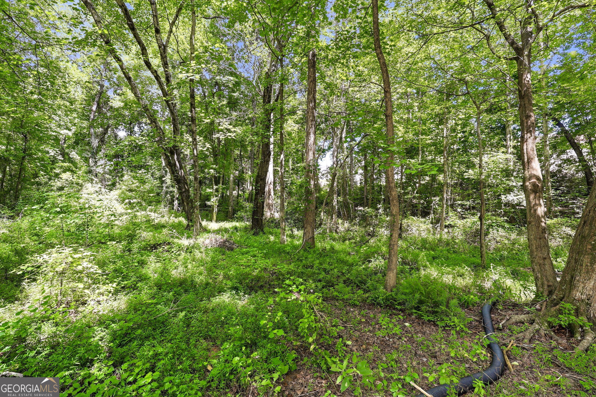 3970 Walnut Grove Way Property Photo 32