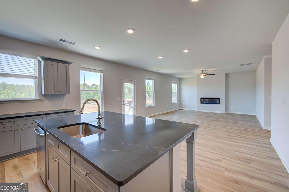 672 Leafy Branch Way Property Photo 14