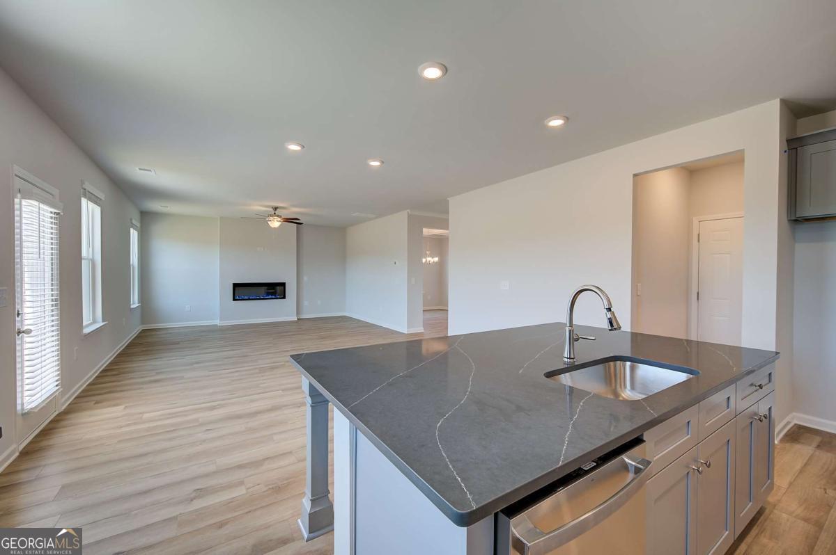 672 Leafy Branch Way Property Photo 15