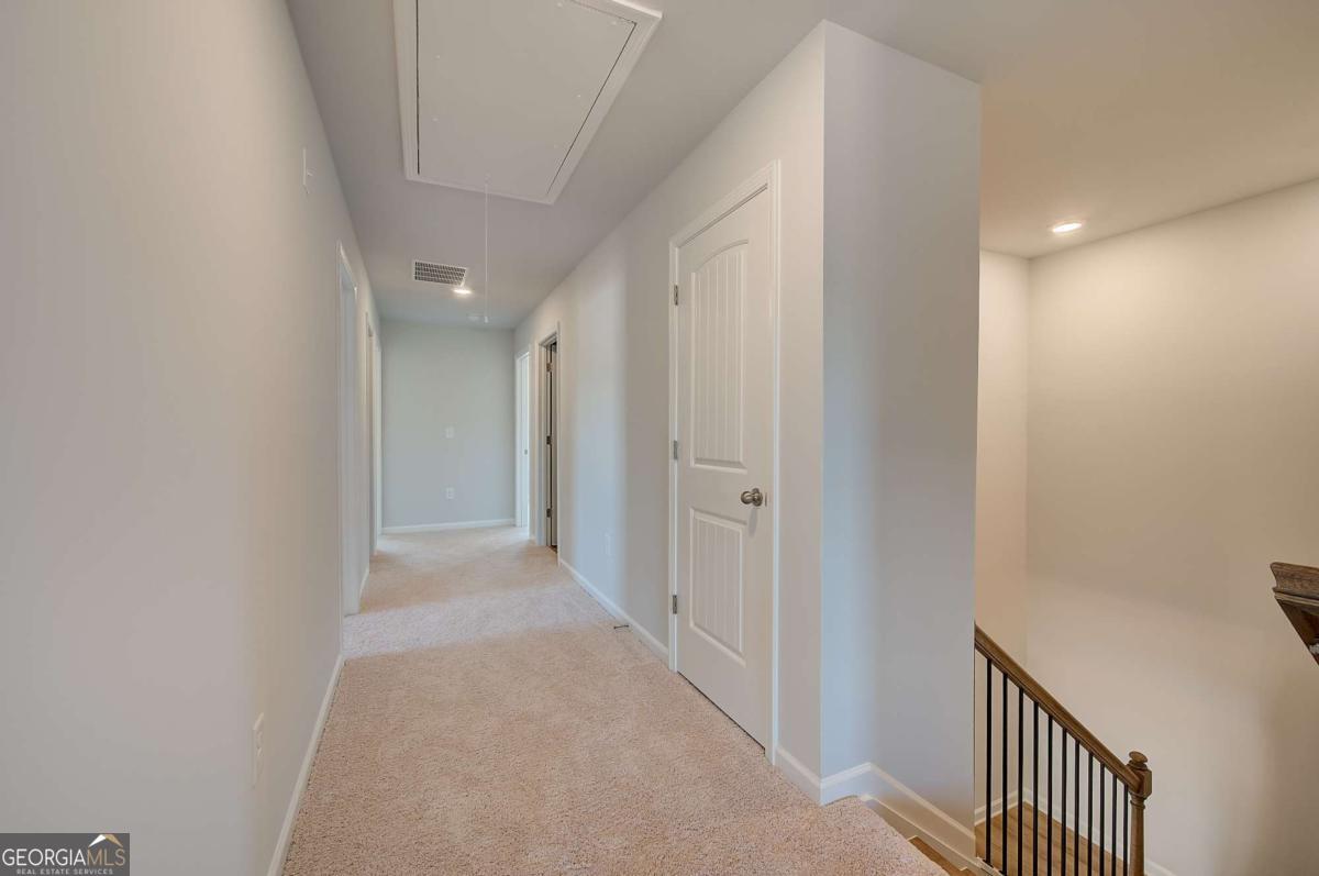 672 Leafy Branch Way Property Photo 20