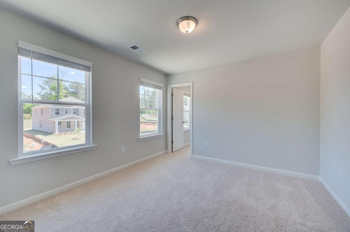672 Leafy Branch Way Property Photo 21