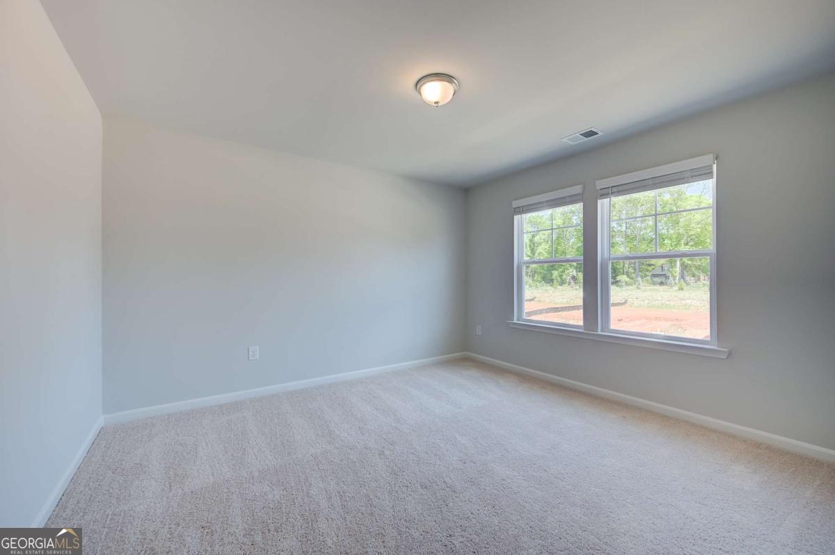 672 Leafy Branch Way Property Photo 22