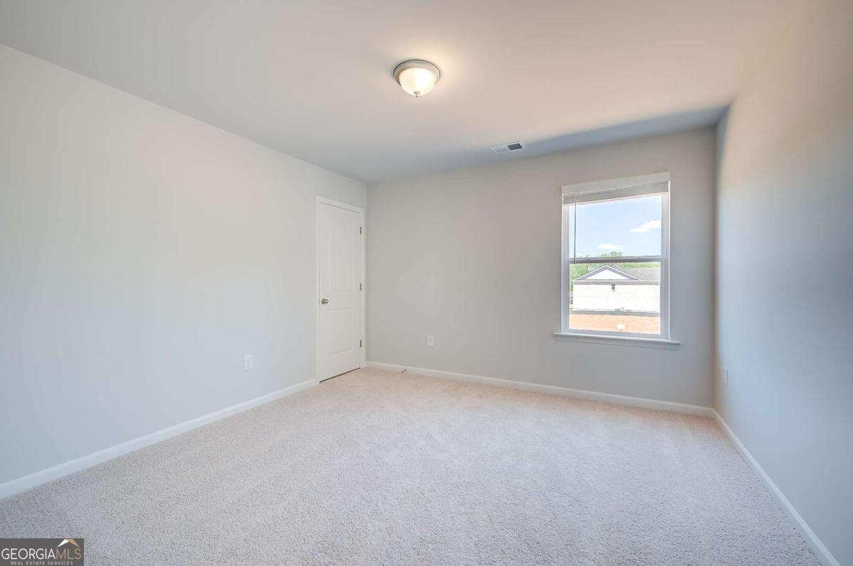 672 Leafy Branch Way Property Photo 23