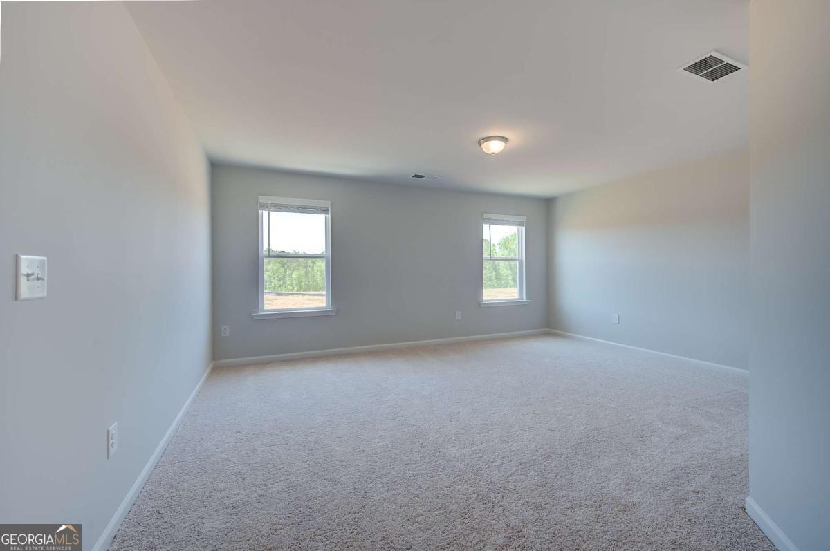 672 Leafy Branch Way Property Photo 24