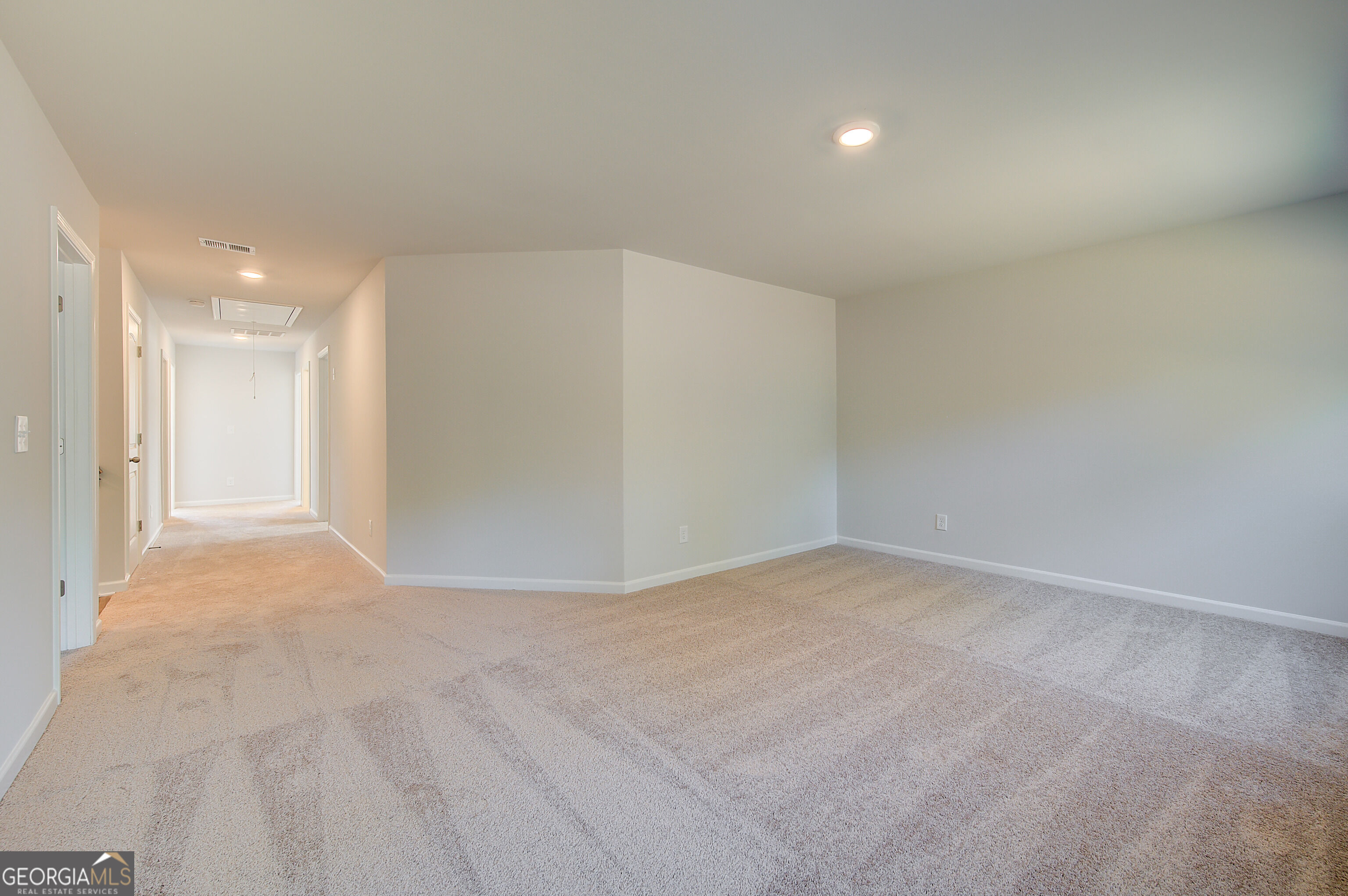 672 Leafy Branch Way Property Photo 24