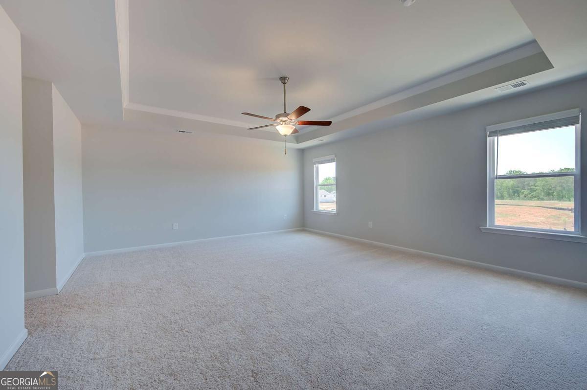 672 Leafy Branch Way Property Photo 25