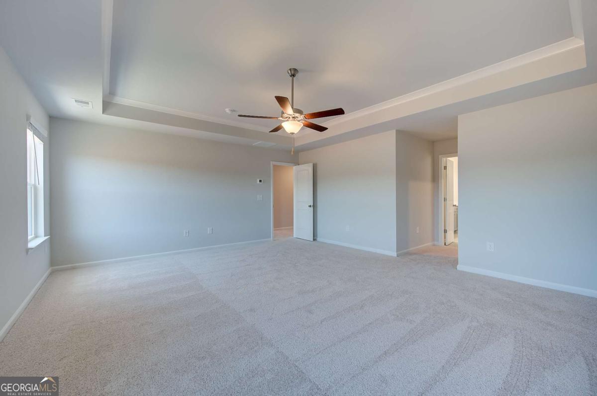 672 Leafy Branch Way Property Photo 26