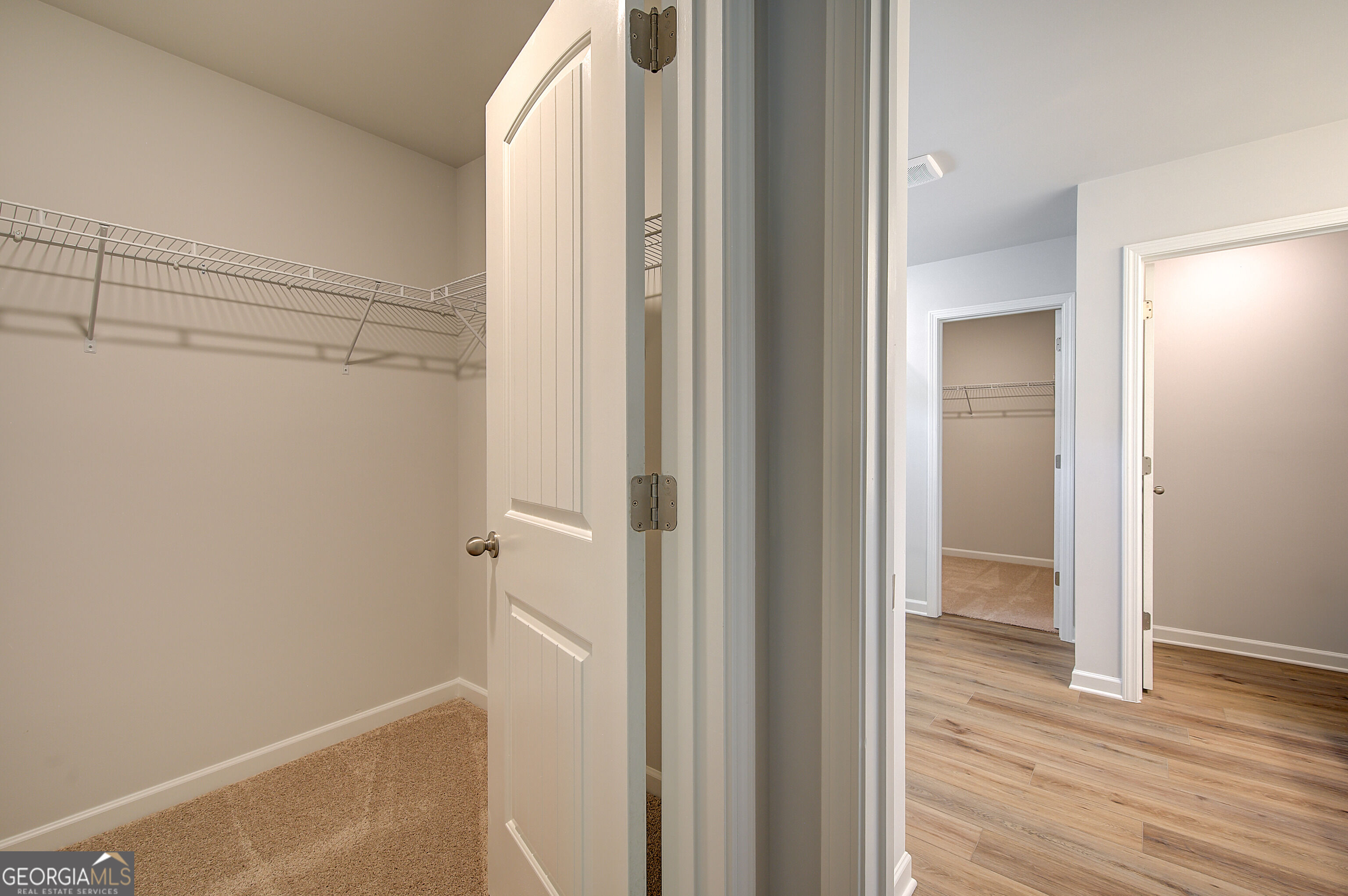672 Leafy Branch Way Property Photo 27