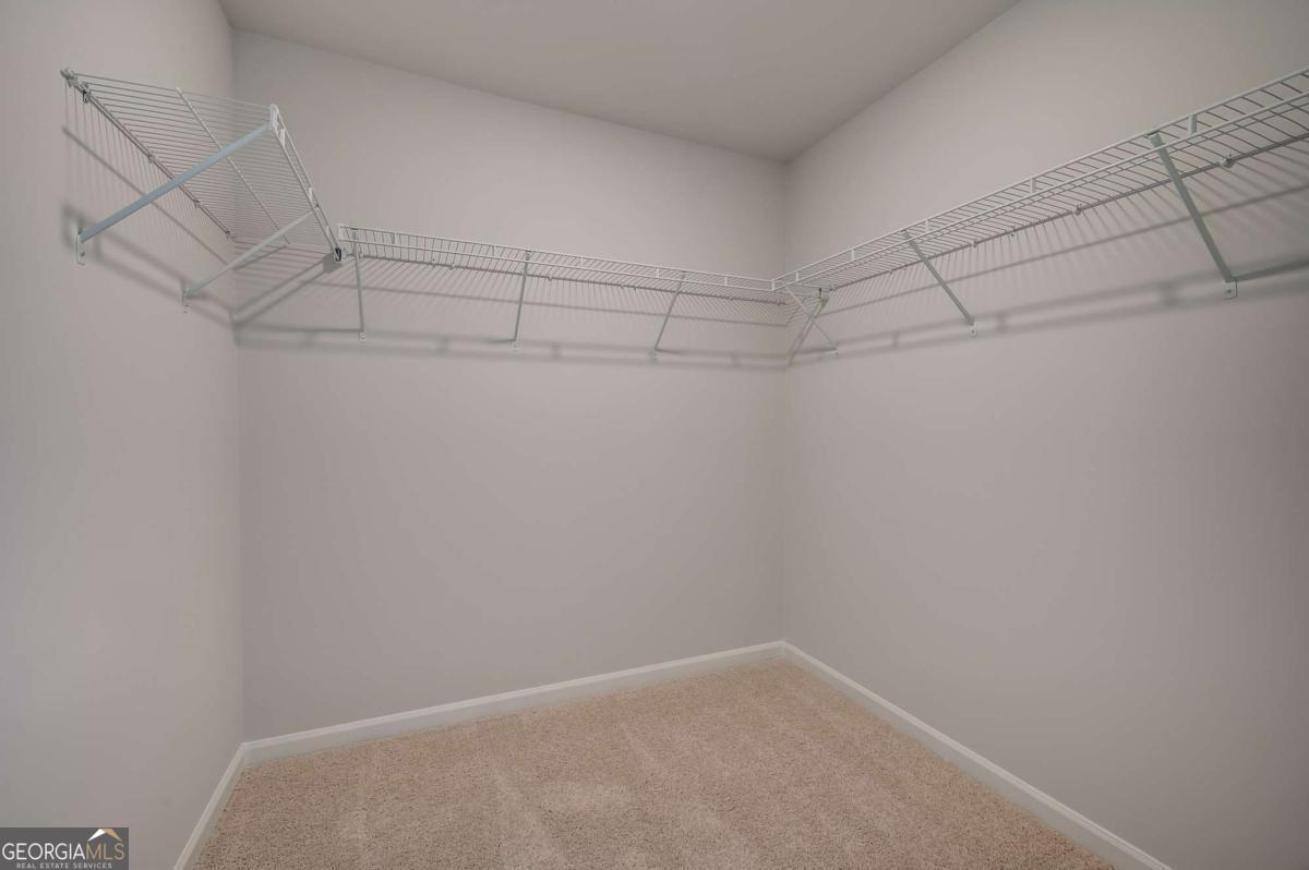 672 Leafy Branch Way Property Photo 31