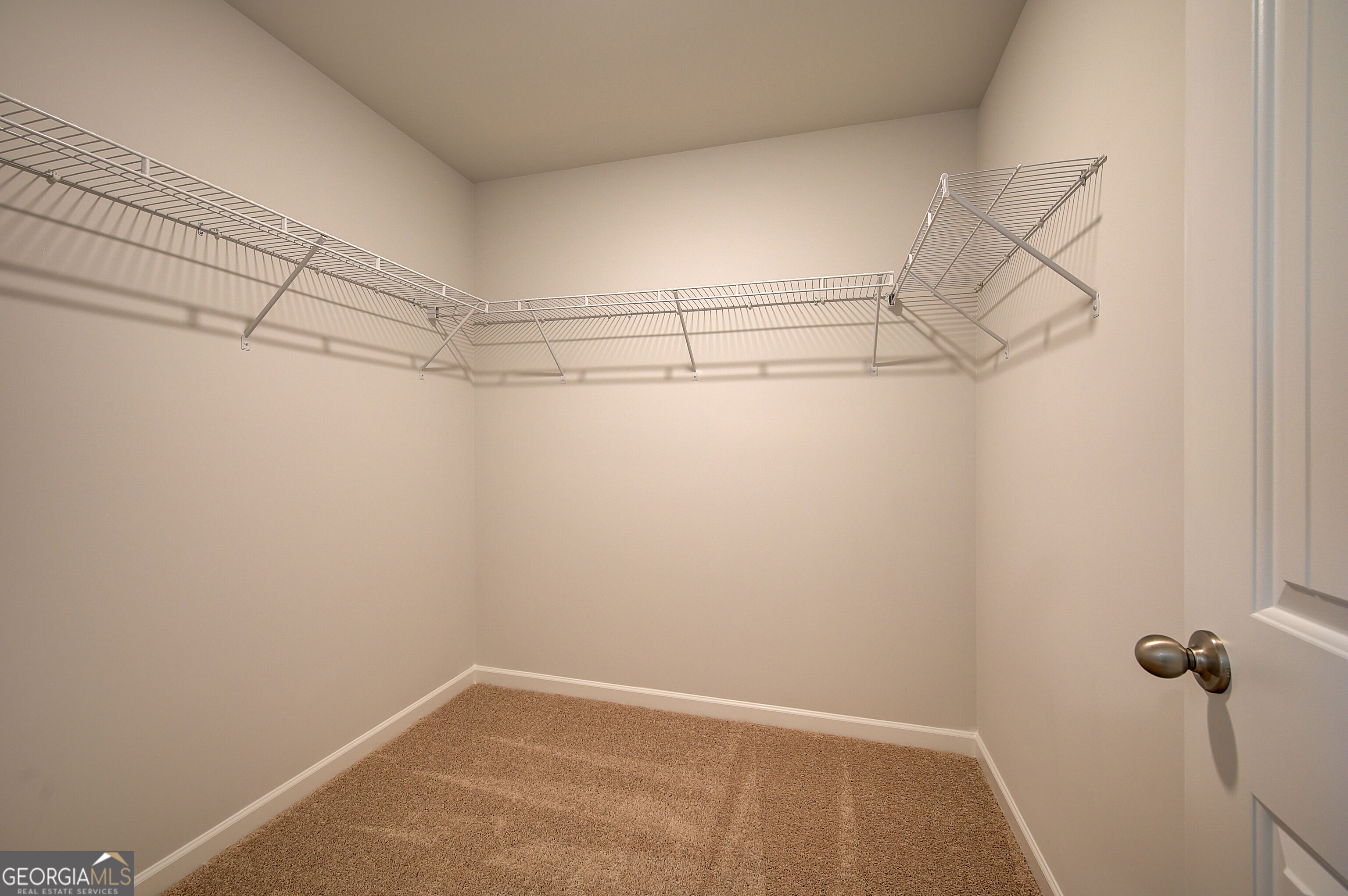 672 Leafy Branch Way Property Photo 31