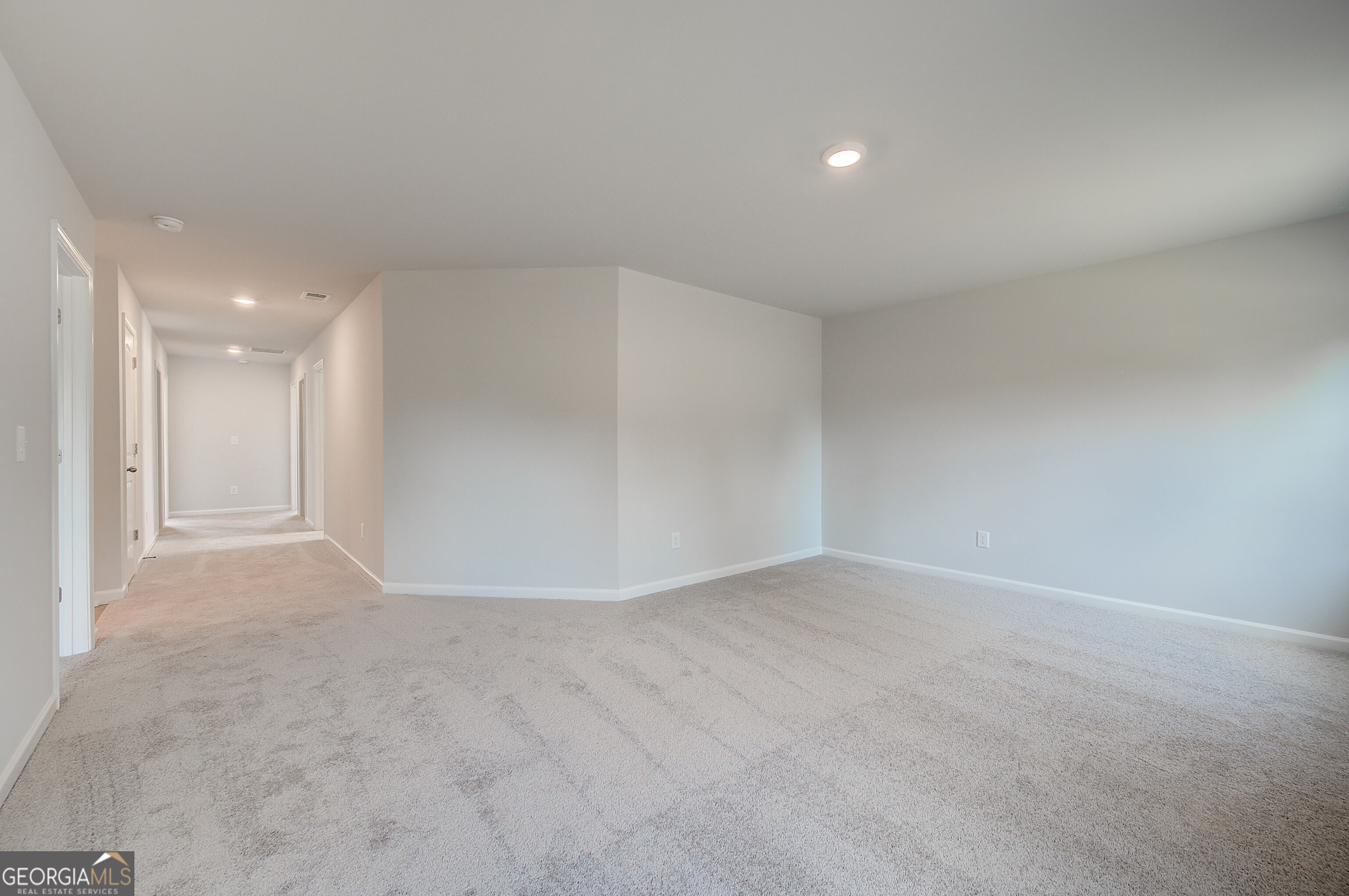 648 Leafy Branch Way Property Photo 25