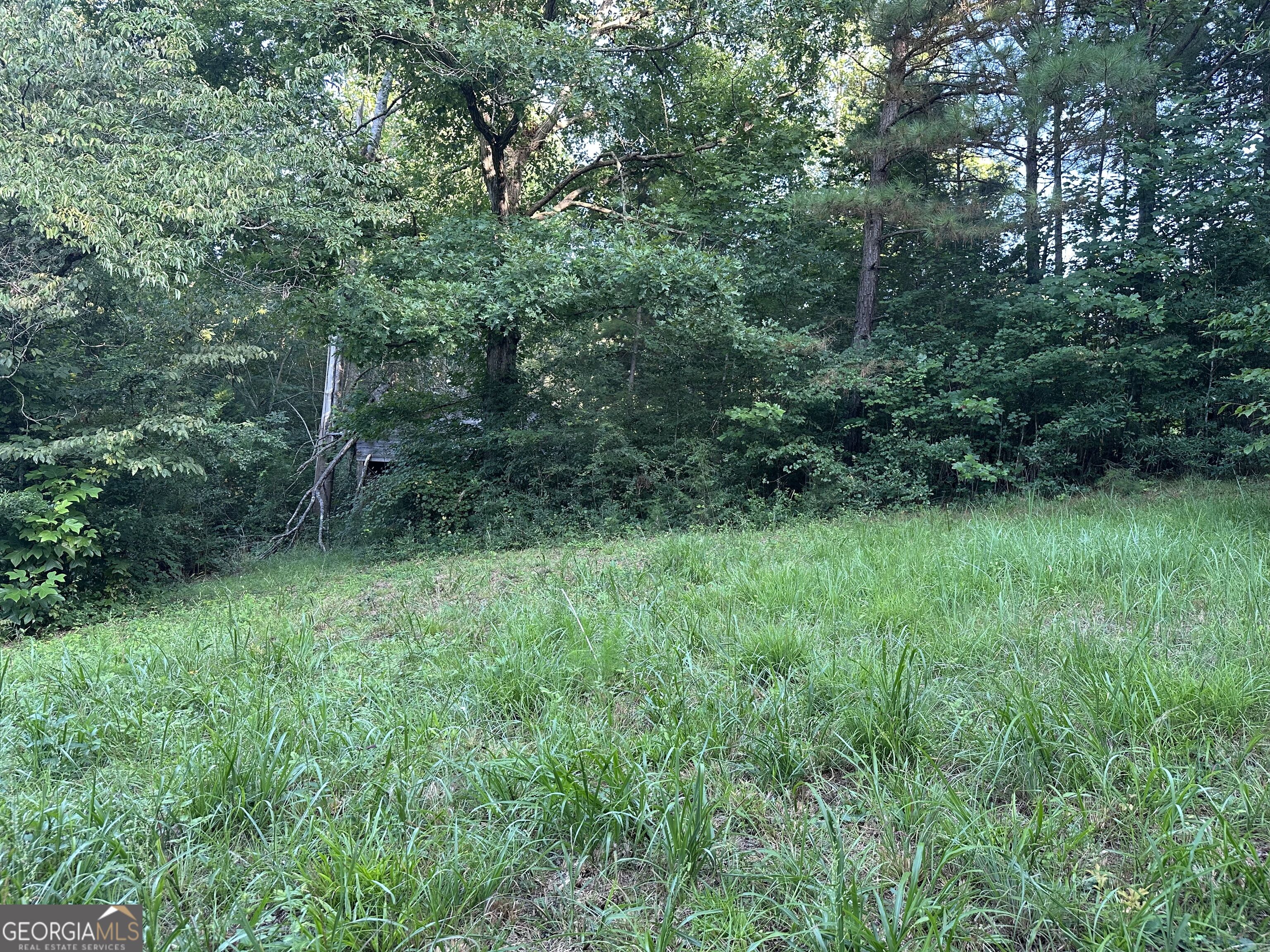 1069 Harbert Valley Road Property Photo 6