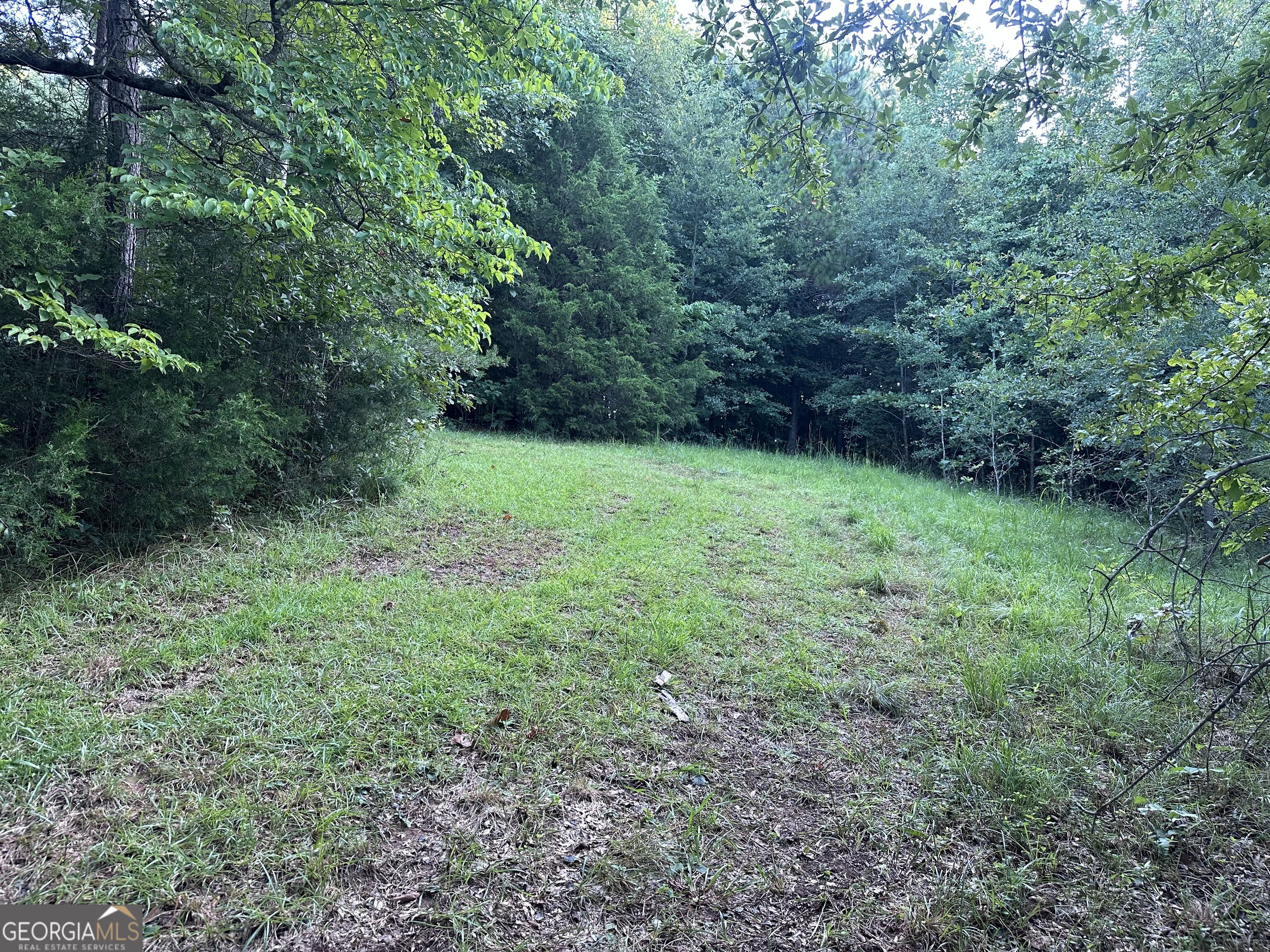 1069 Harbert Valley Road Property Photo 7
