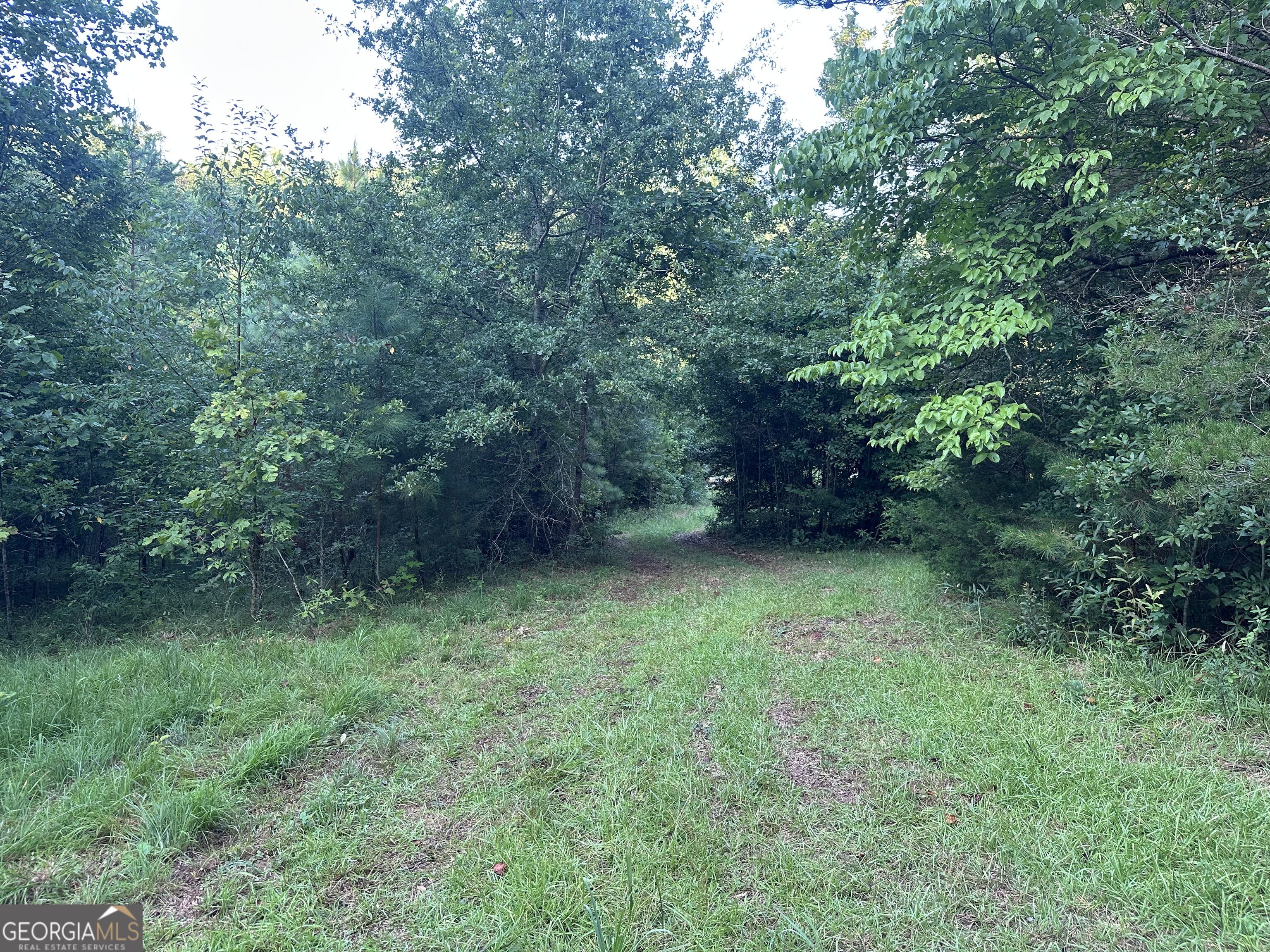 1069 Harbert Valley Road Property Photo 8