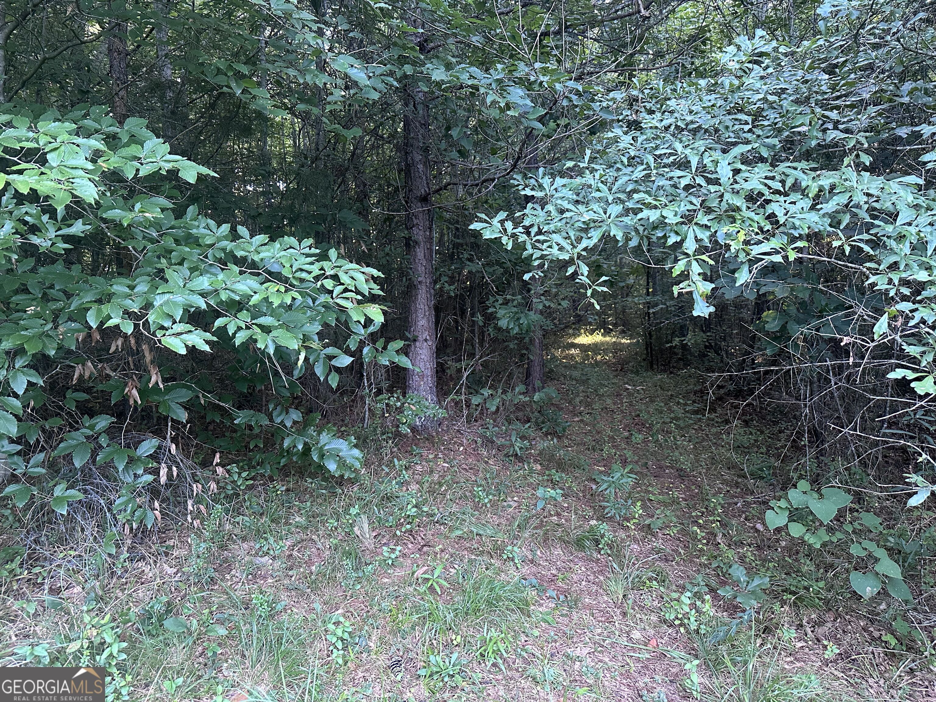 1069 Harbert Valley Road Property Photo 9