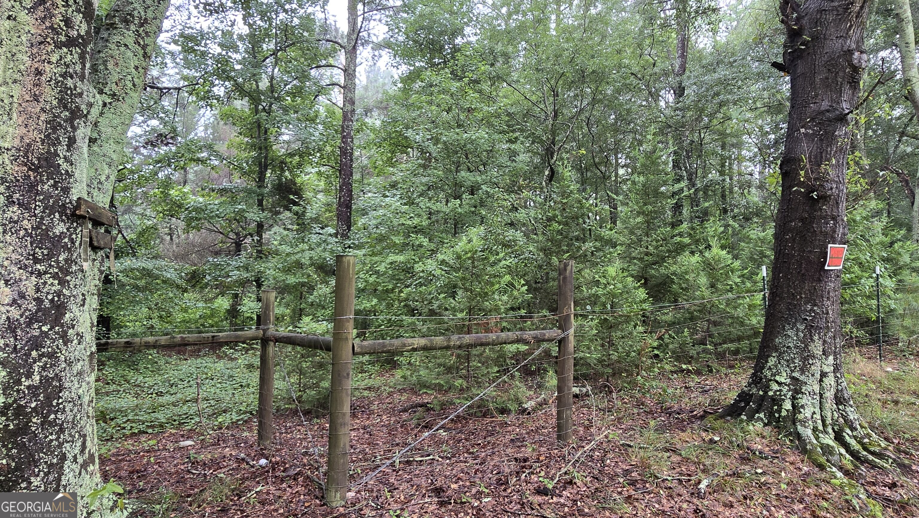 0 Bob Holman Road Property Photo 2