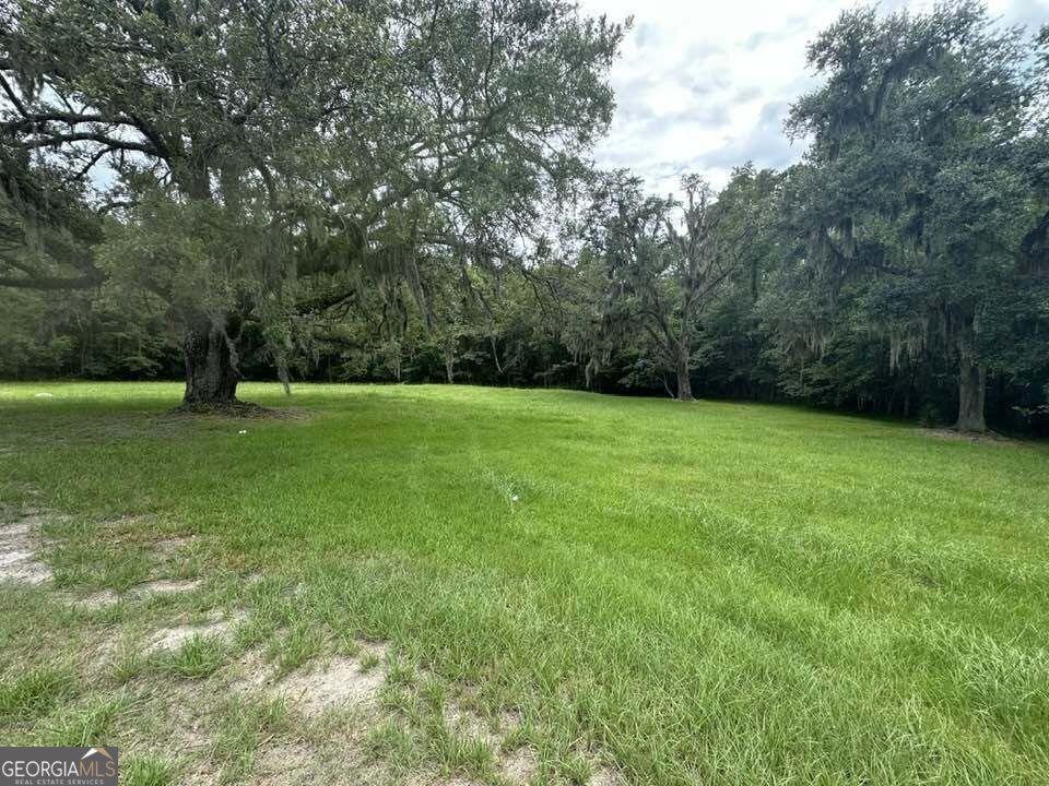 6461 New Jesup Highway Property Photo 2