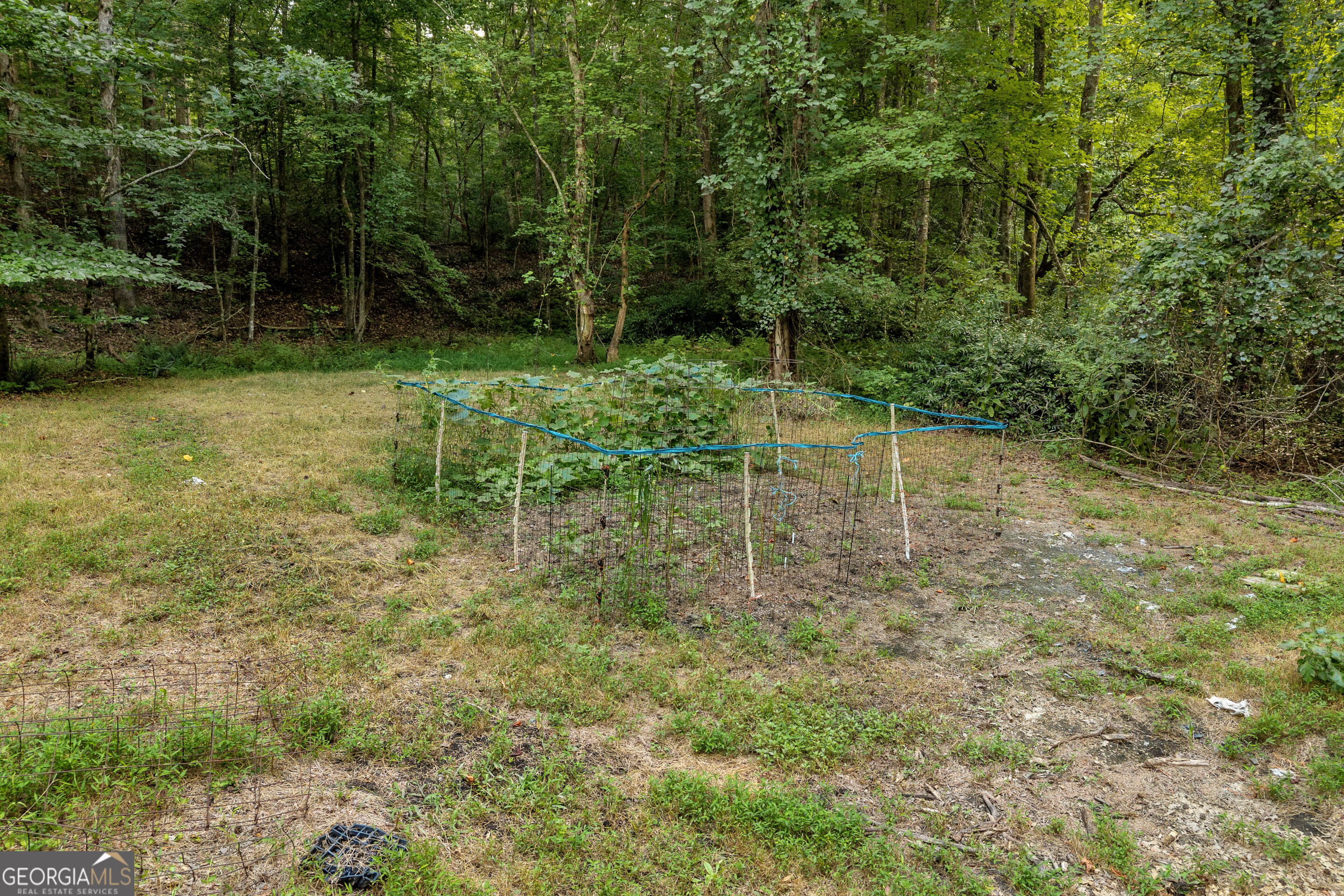 4165 Prather Bridge Road Property Photo 64