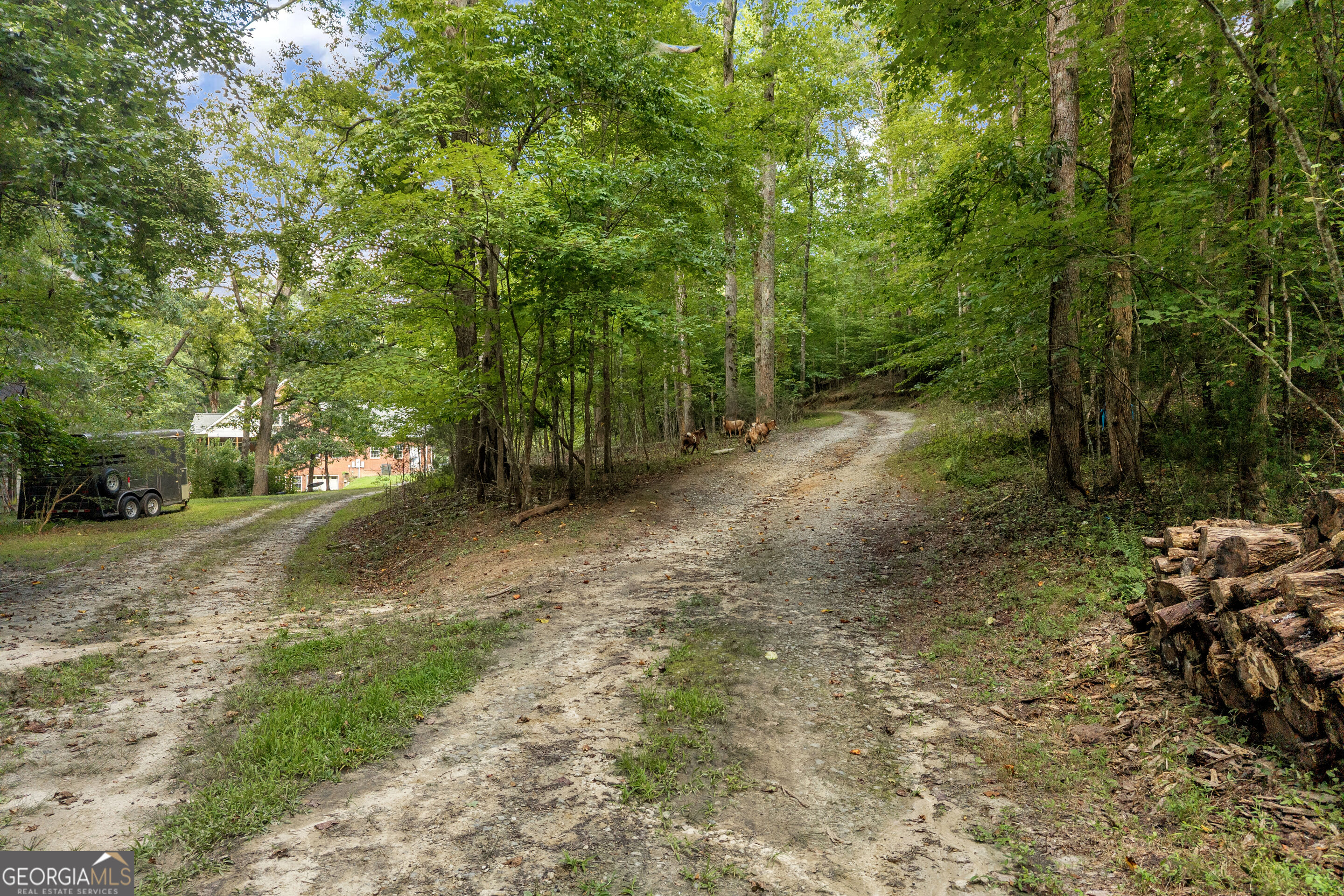 4165 Prather Bridge Road Property Photo 69