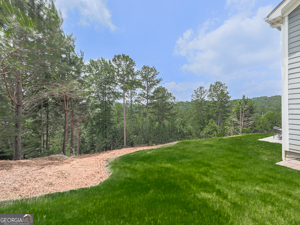 507 Perdue Trail Property Photo 45