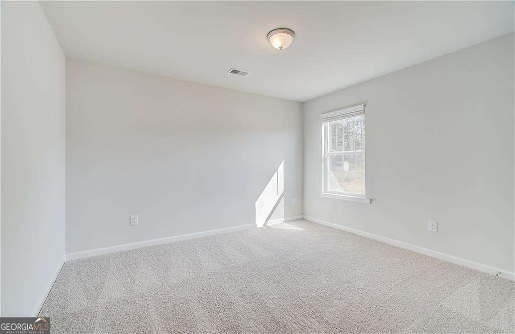 652 Leafy Branch Way Property Photo 20