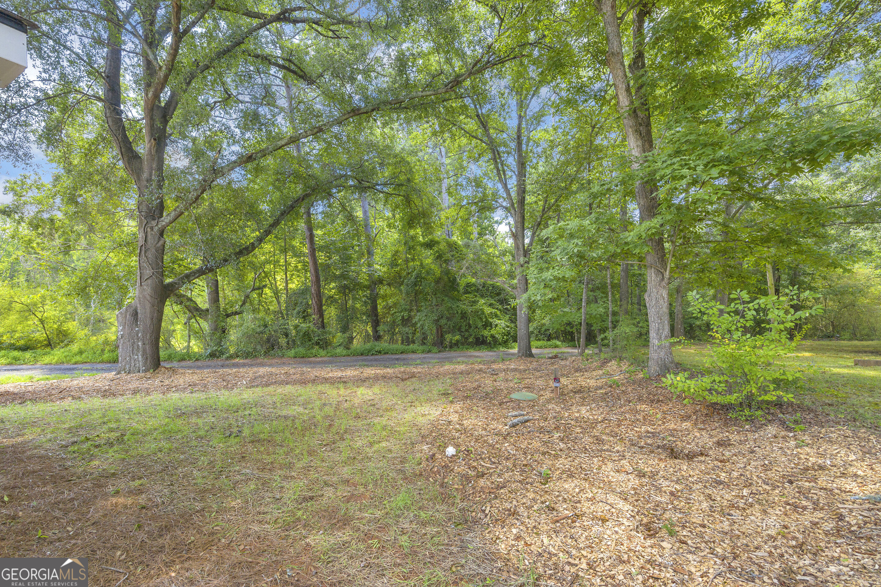 47 Durham Street Property Photo 30