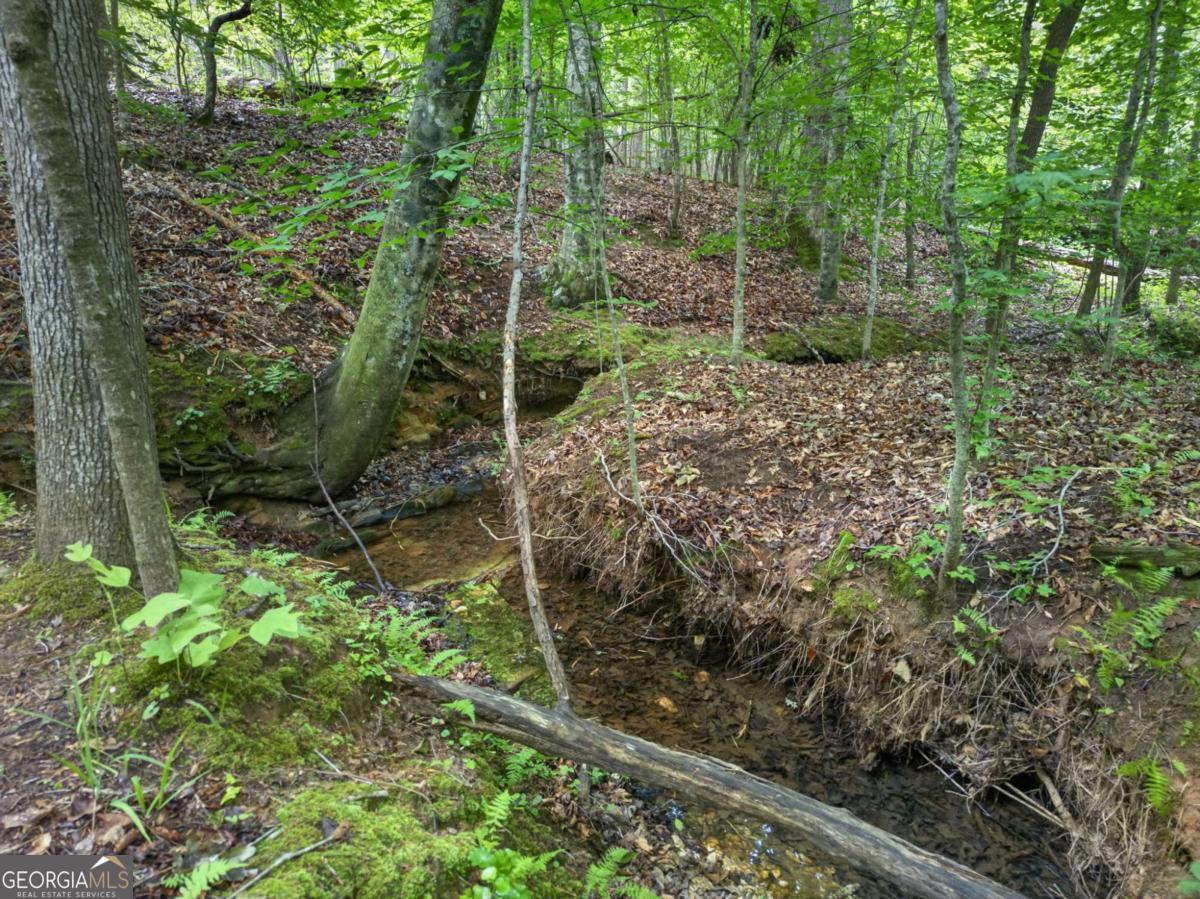 3512 Vinson Mountain Road Property Photo 51