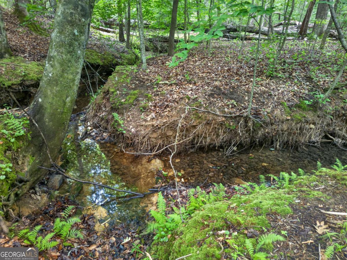 3512 Vinson Mountain Road Property Photo 52