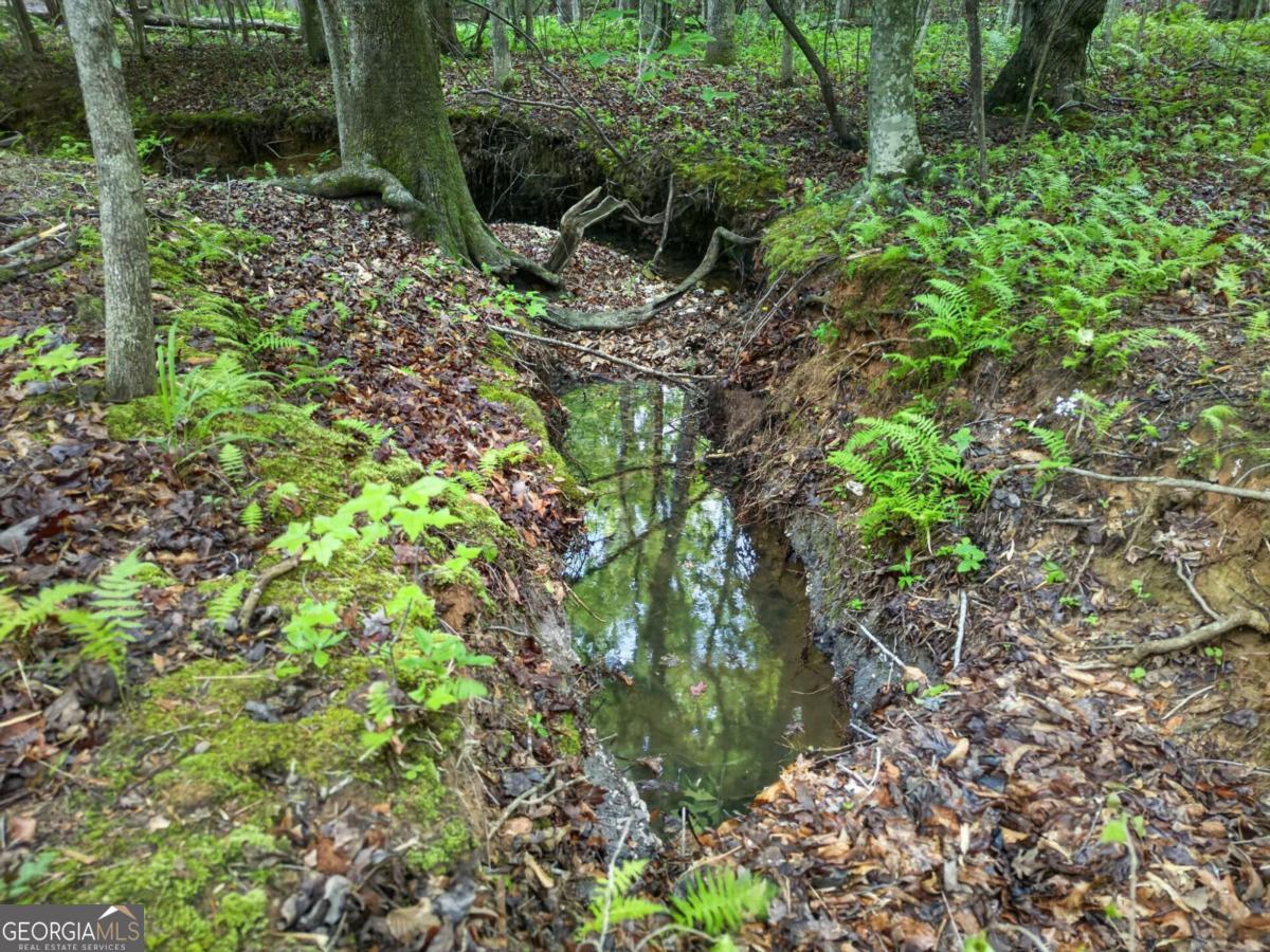 3512 Vinson Mountain Road Property Photo 53