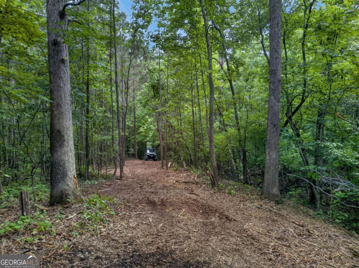 3512 Vinson Mountain Road Property Photo 54