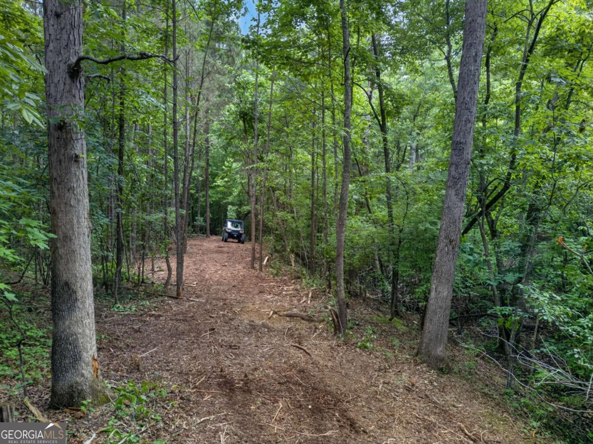 3512 Vinson Mountain Road Property Photo 55