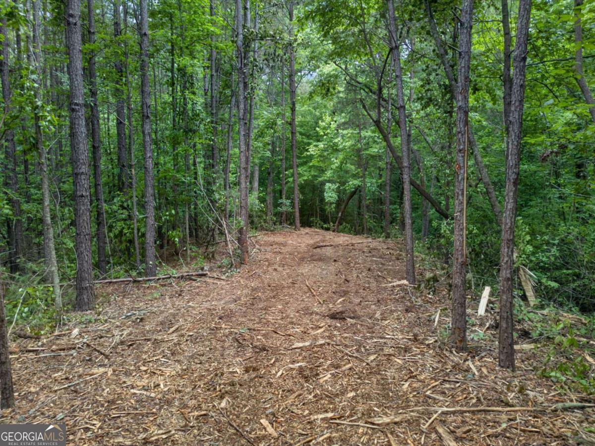 3512 Vinson Mountain Road Property Photo 56