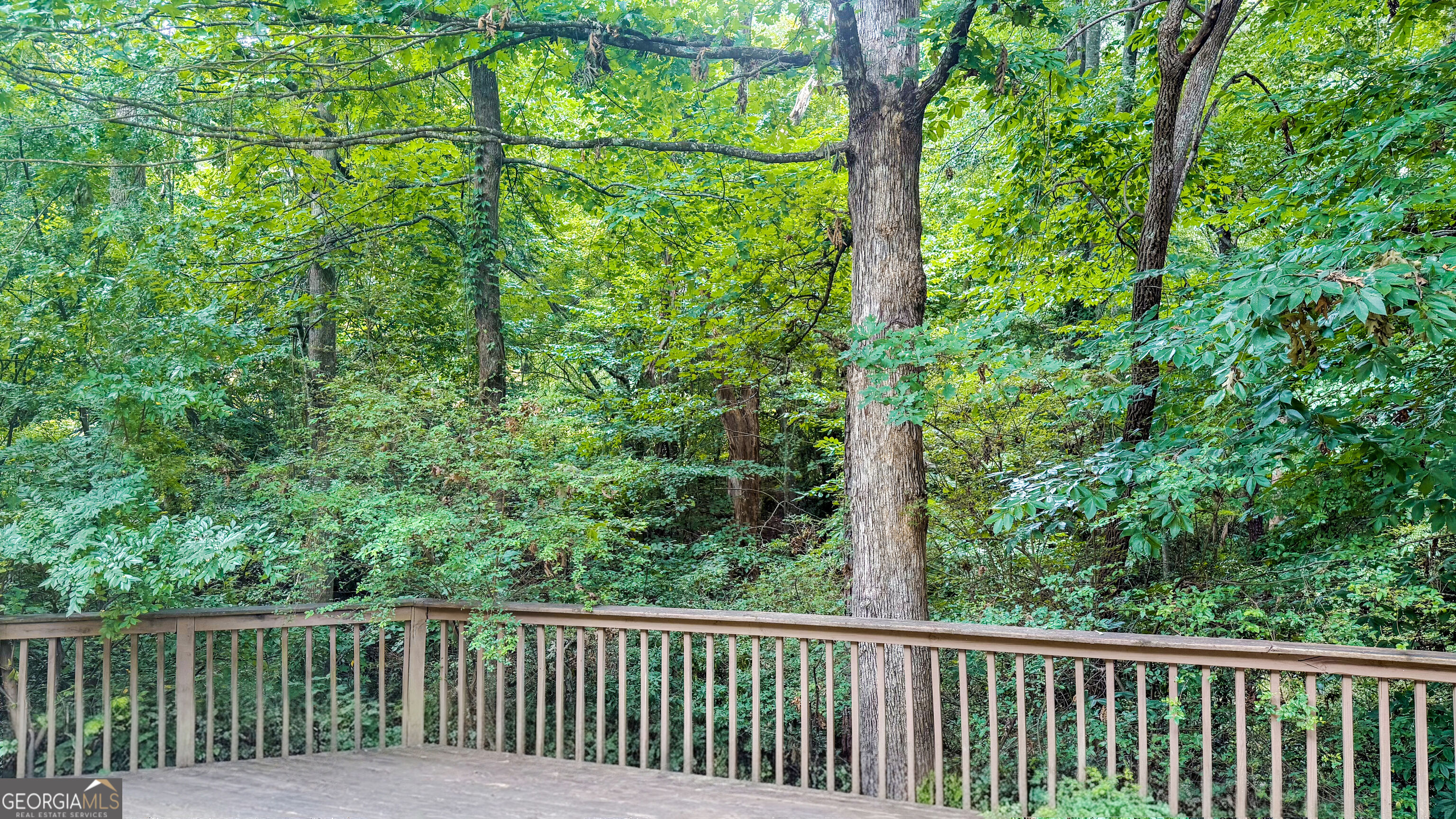 3040 Goldmist Drive Property Photo 18