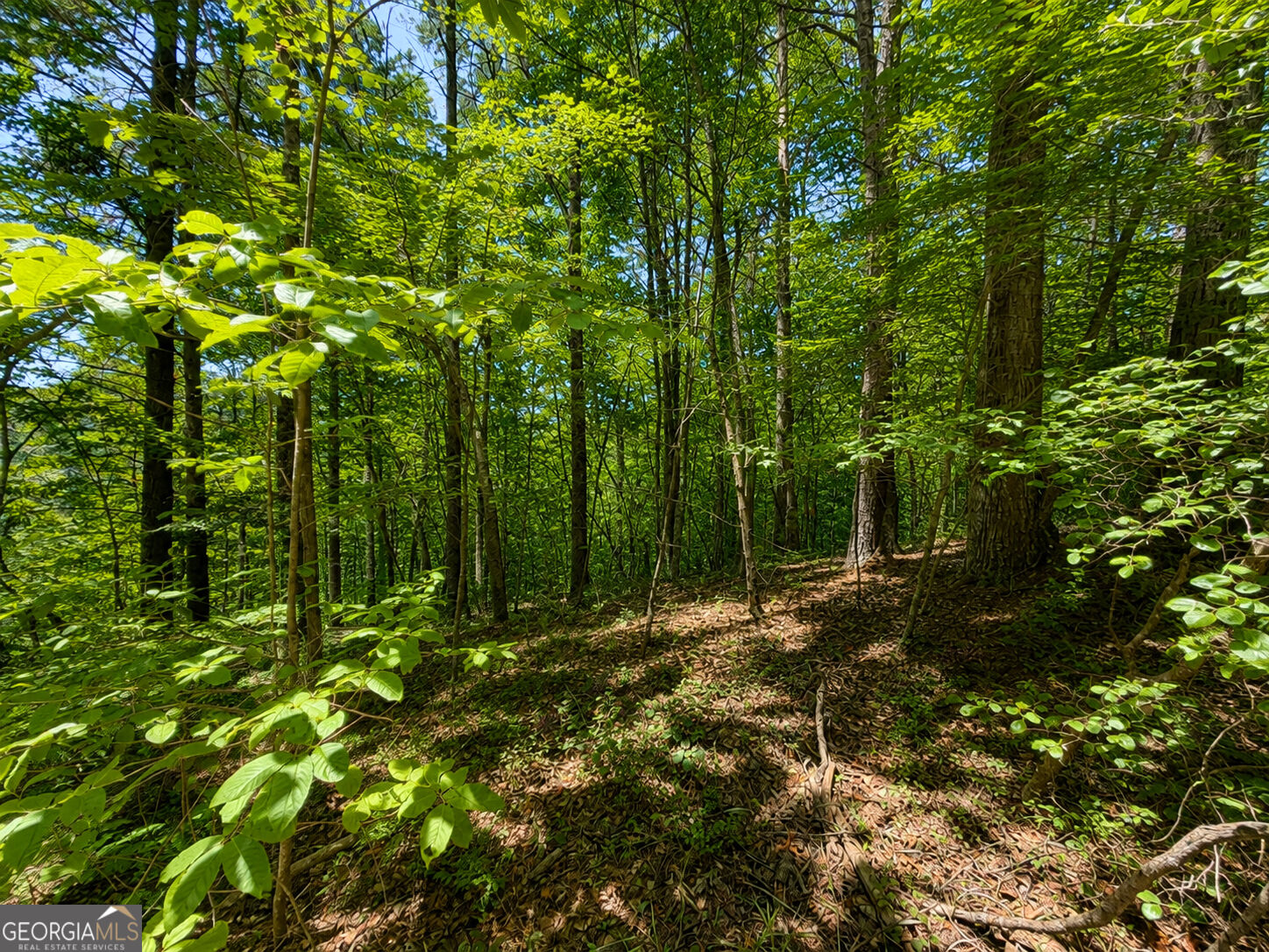 1652 Sable Court Property Photo 1