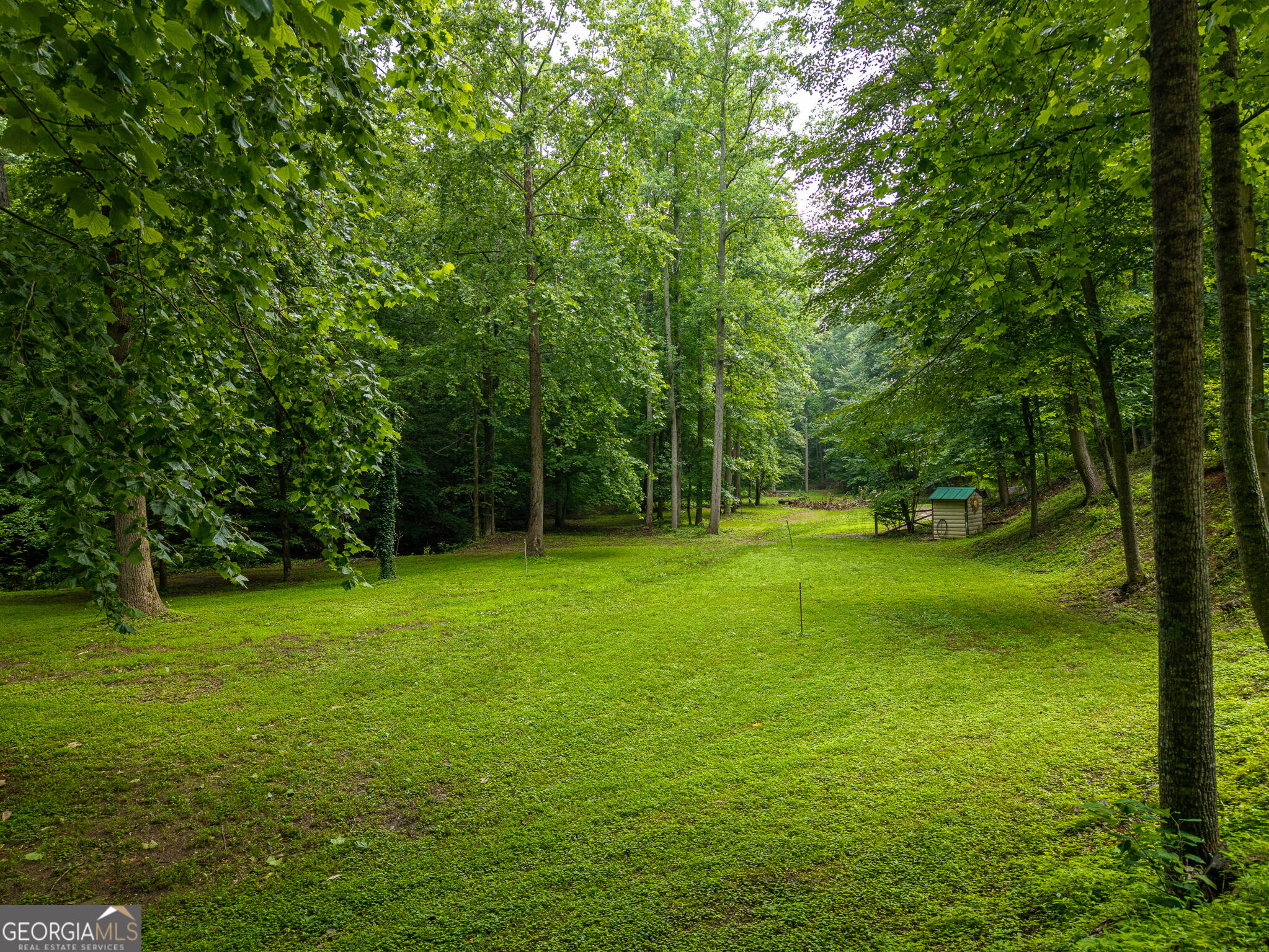 1117 Rambling Road Property Photo 5