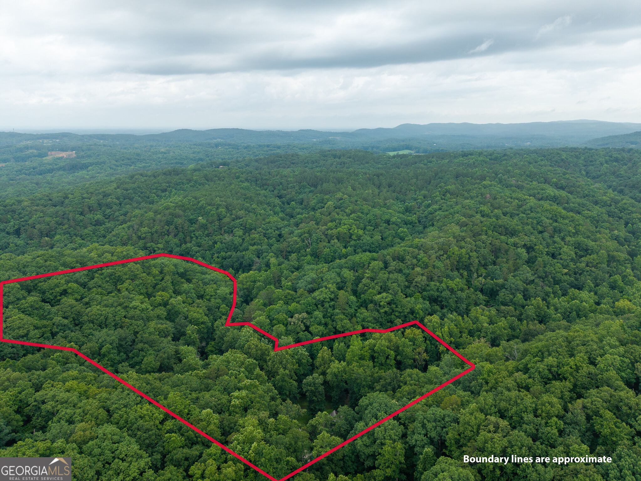 1117 Rambling Road Property Photo 19