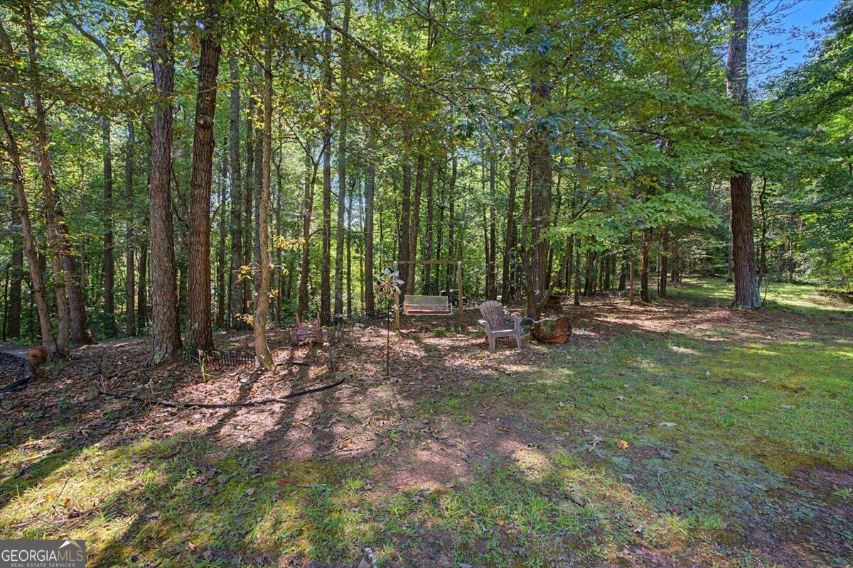 10589 Cumming Highway Property Photo 4