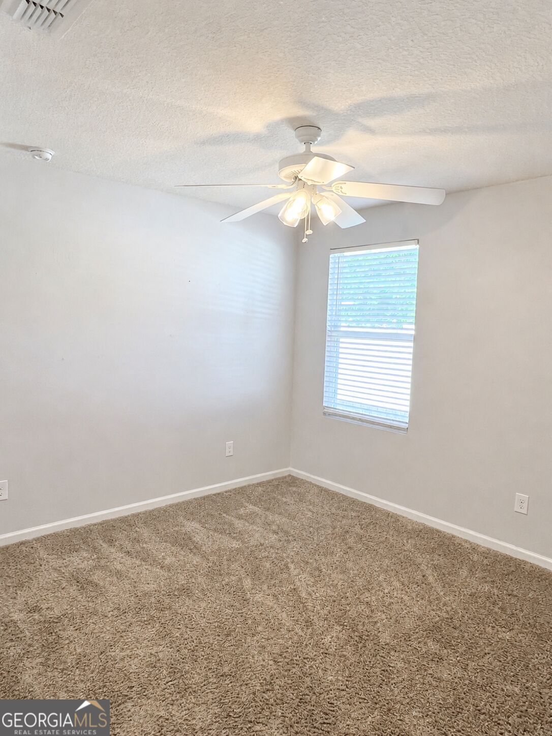 204 Hayworth Court Property Photo 5