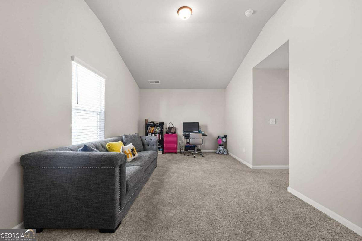 1729 Cadence Street Property Photo 32