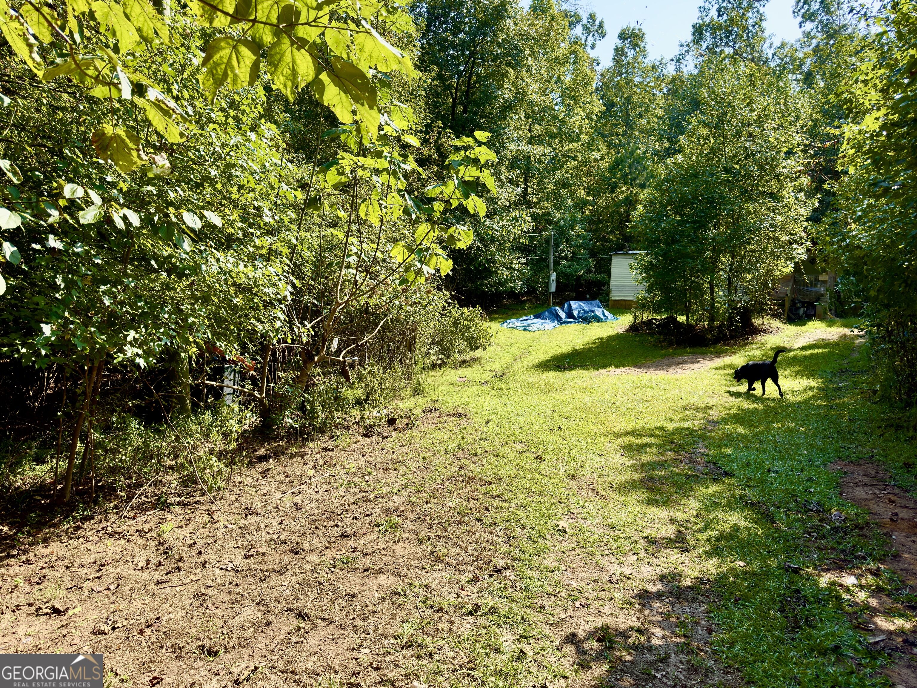 808 Rock Forge Road Property Photo 2