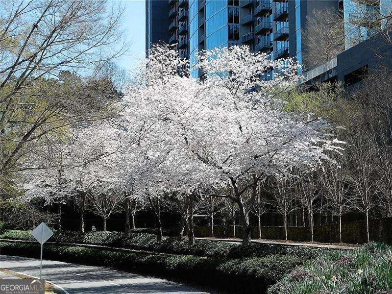 3300 Windy Ridge Parkway Se # 1007 Property Photo 17