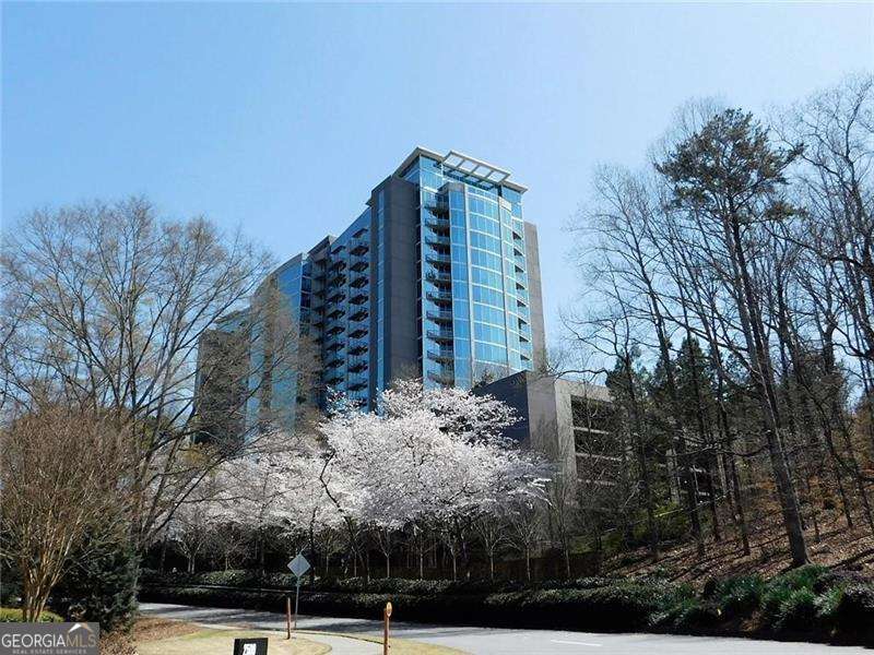 3300 Windy Ridge Parkway Se # 1007 Property Photo 30