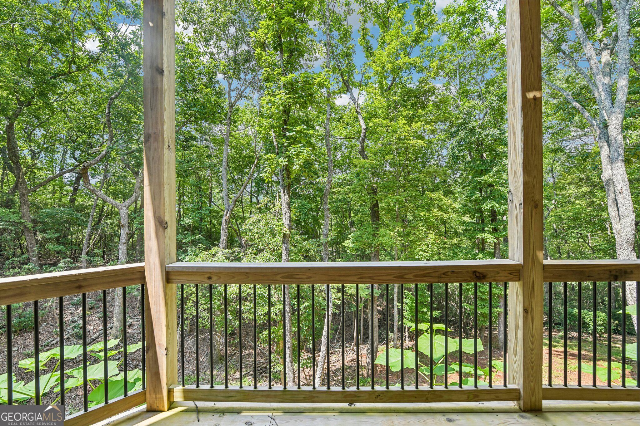 462 Ranch Mountain Drive Property Photo 51