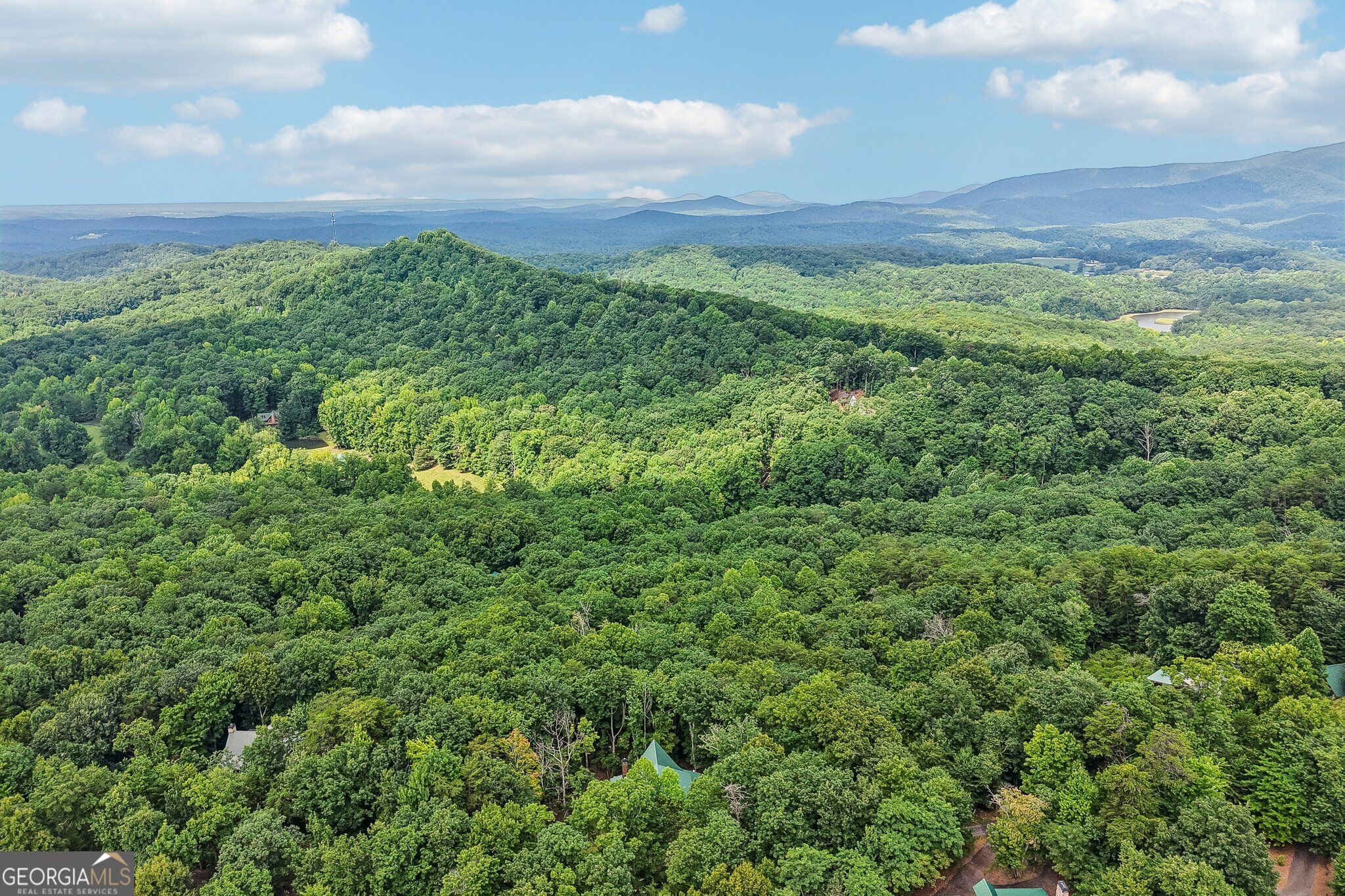 462 Ranch Mountain Drive Property Photo 64
