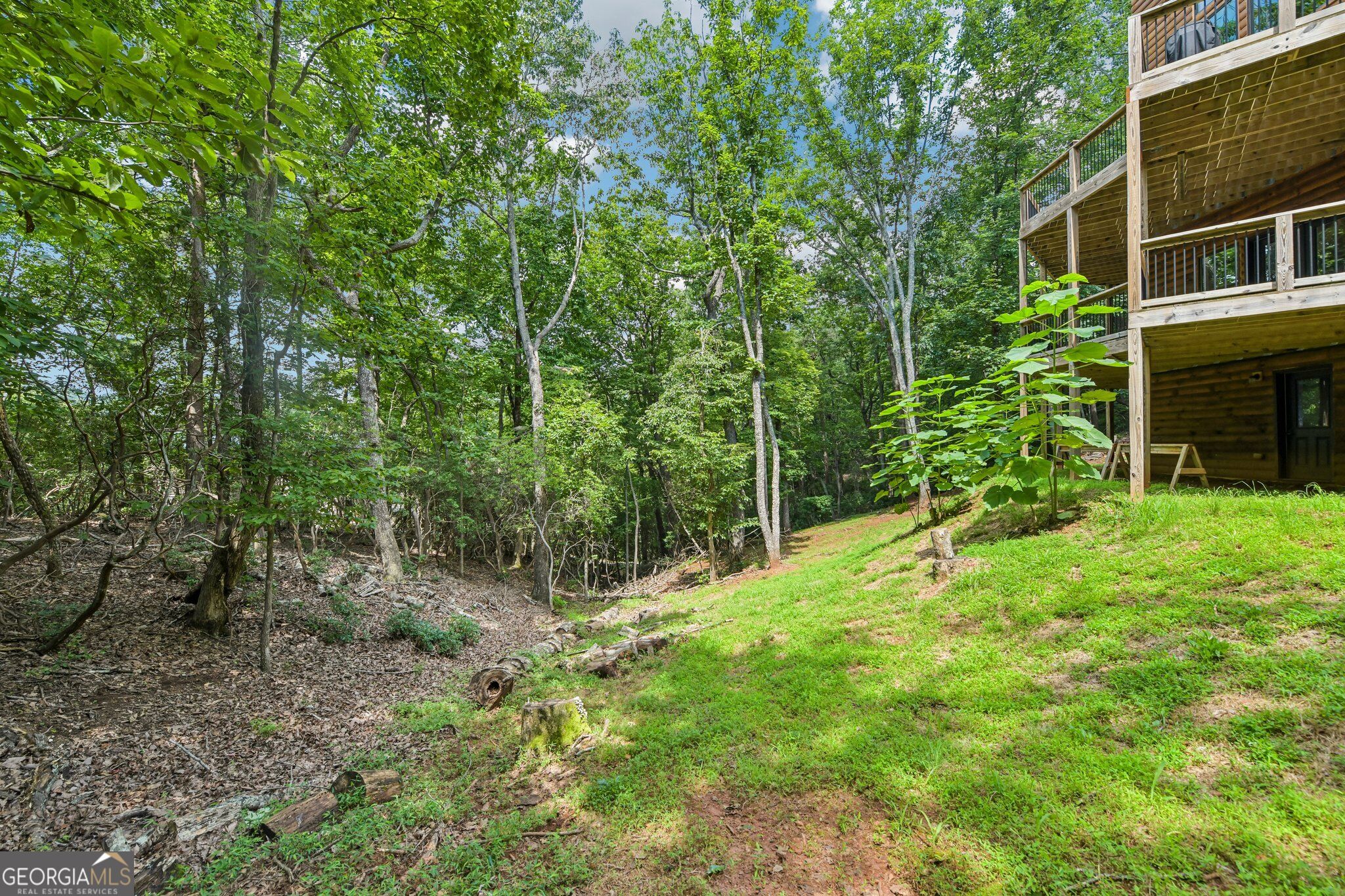 462 Ranch Mountain Drive Property Photo 66